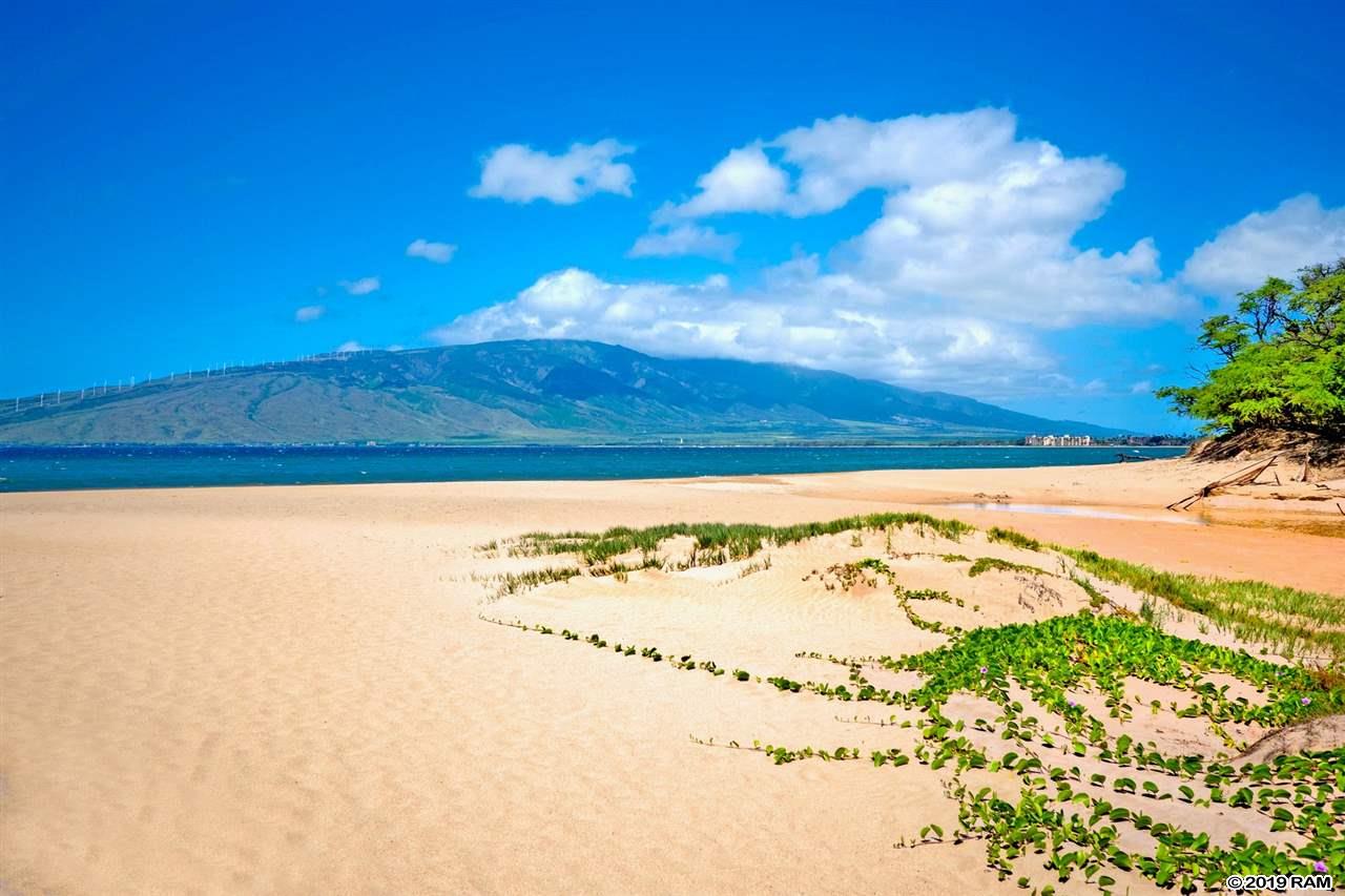 Kihei Bay Vista condo # A205, Kihei, Hawaii - photo 17 of 23