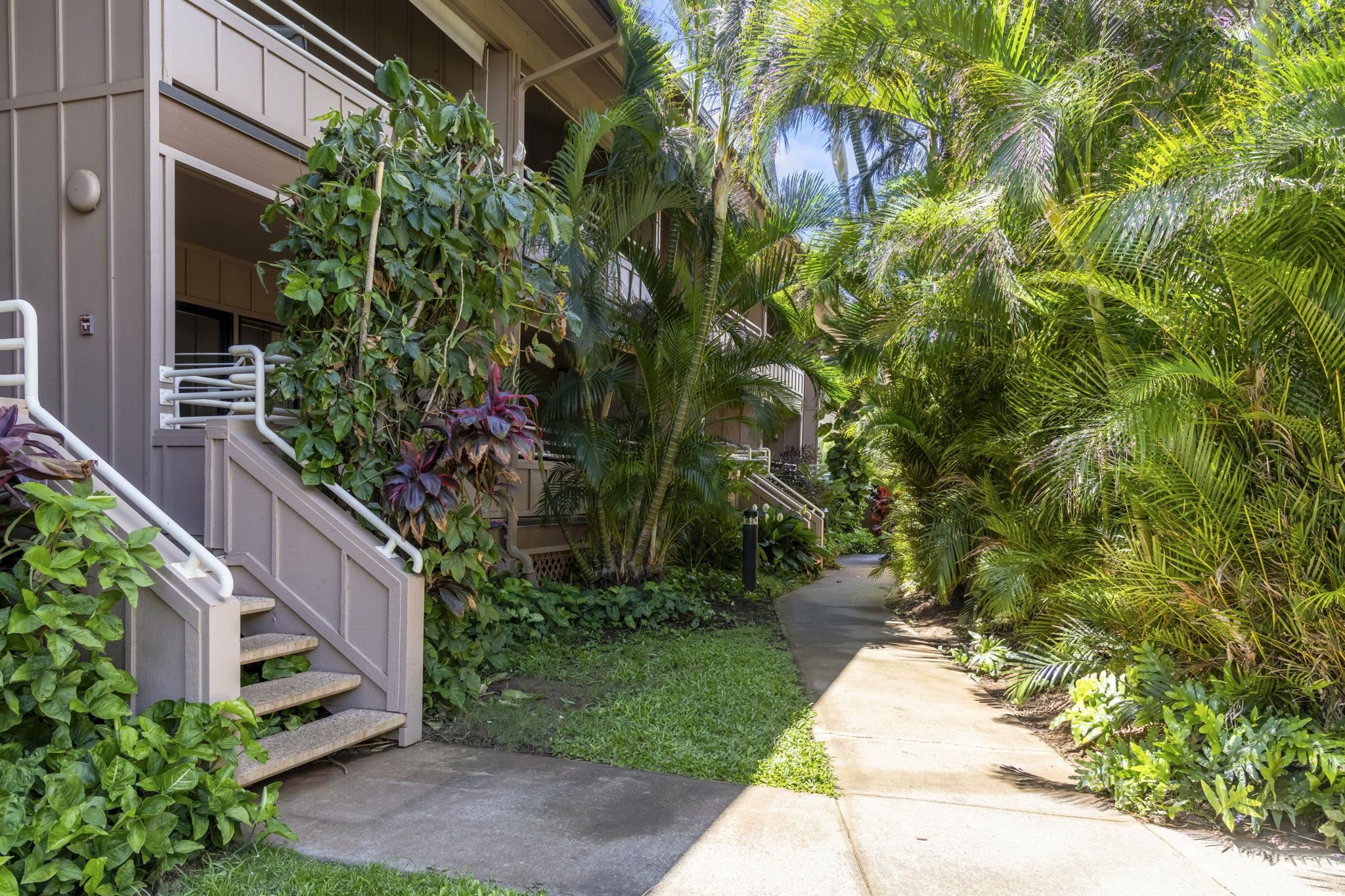 Kihei Bay Vista condo # C204, Kihei, Hawaii - photo 27 of 46