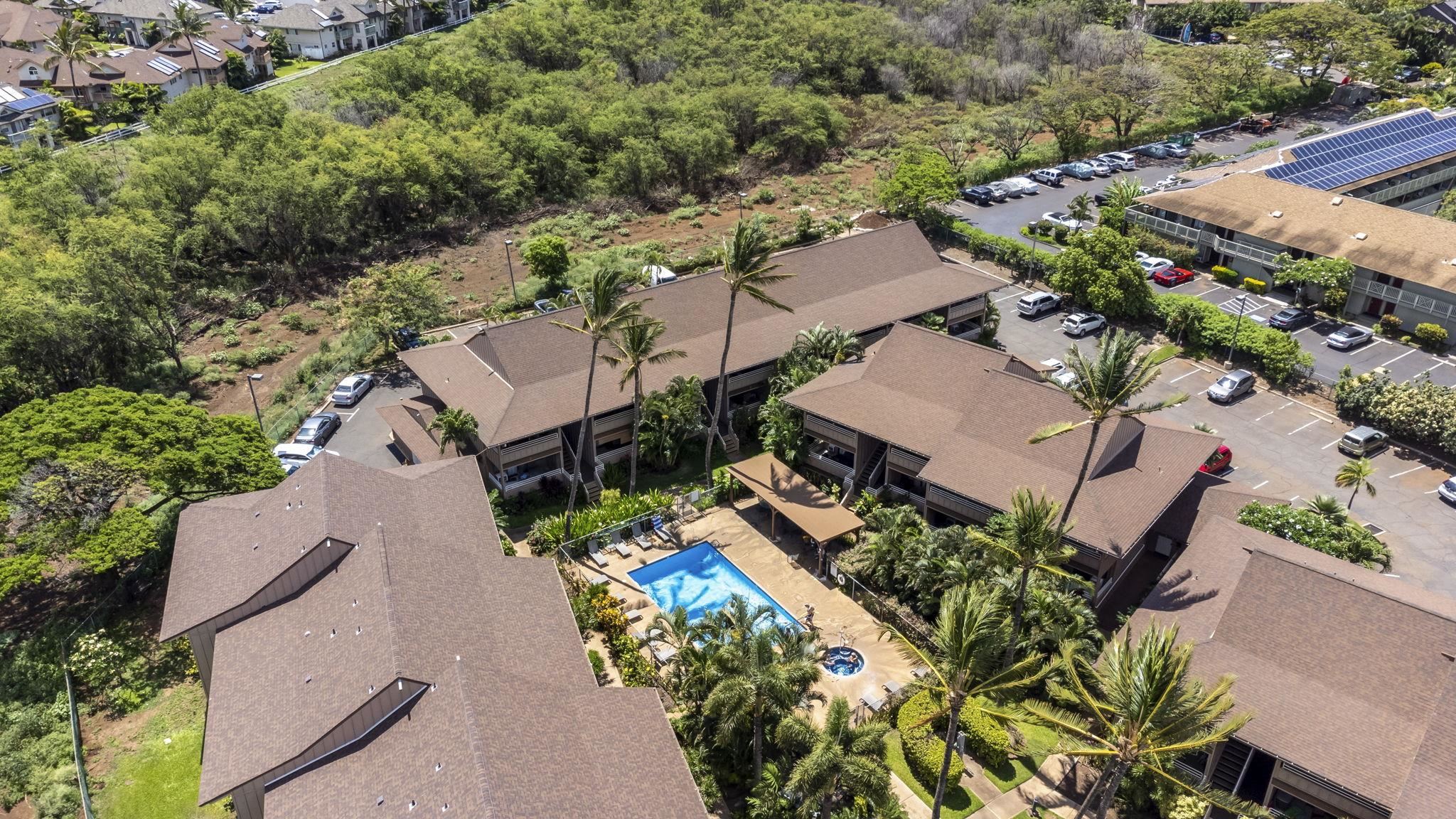 Kihei Bay Vista condo # C204, Kihei, Hawaii - photo 31 of 46