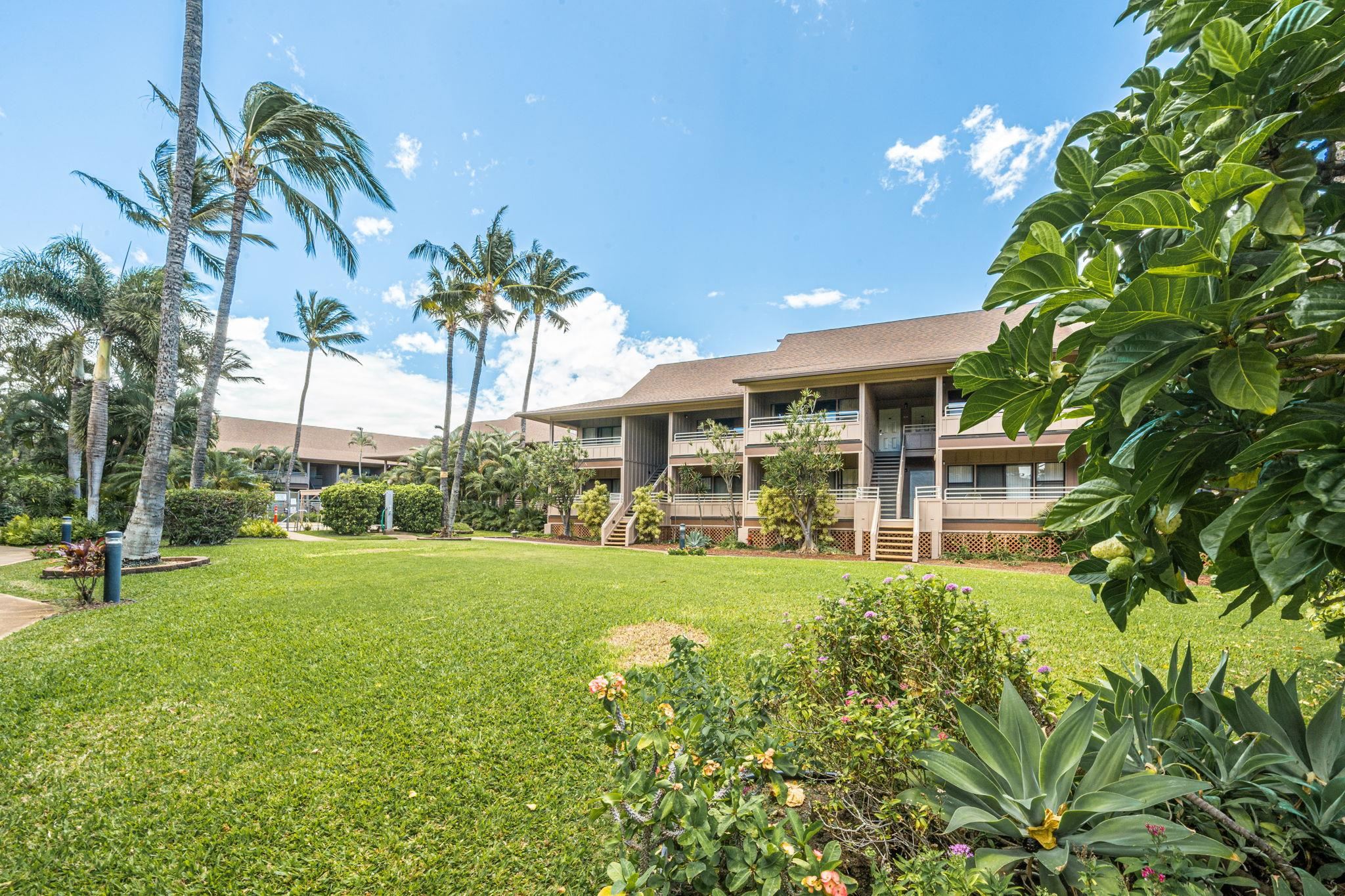 Kihei Bay Vista condo # C204, Kihei, Hawaii - photo 38 of 46