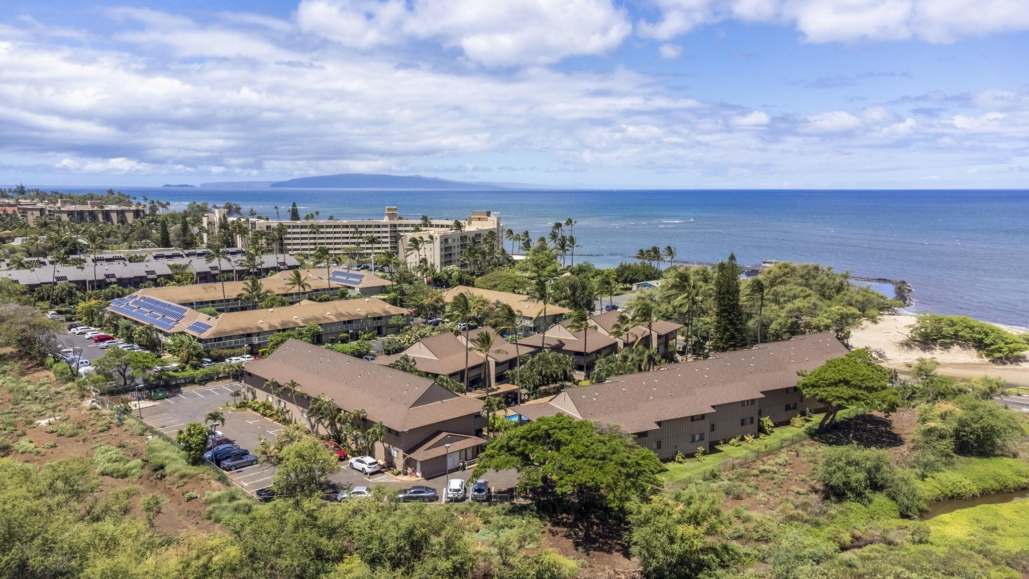 Kihei Bay Vista condo # C204, Kihei, Hawaii - photo 40 of 46