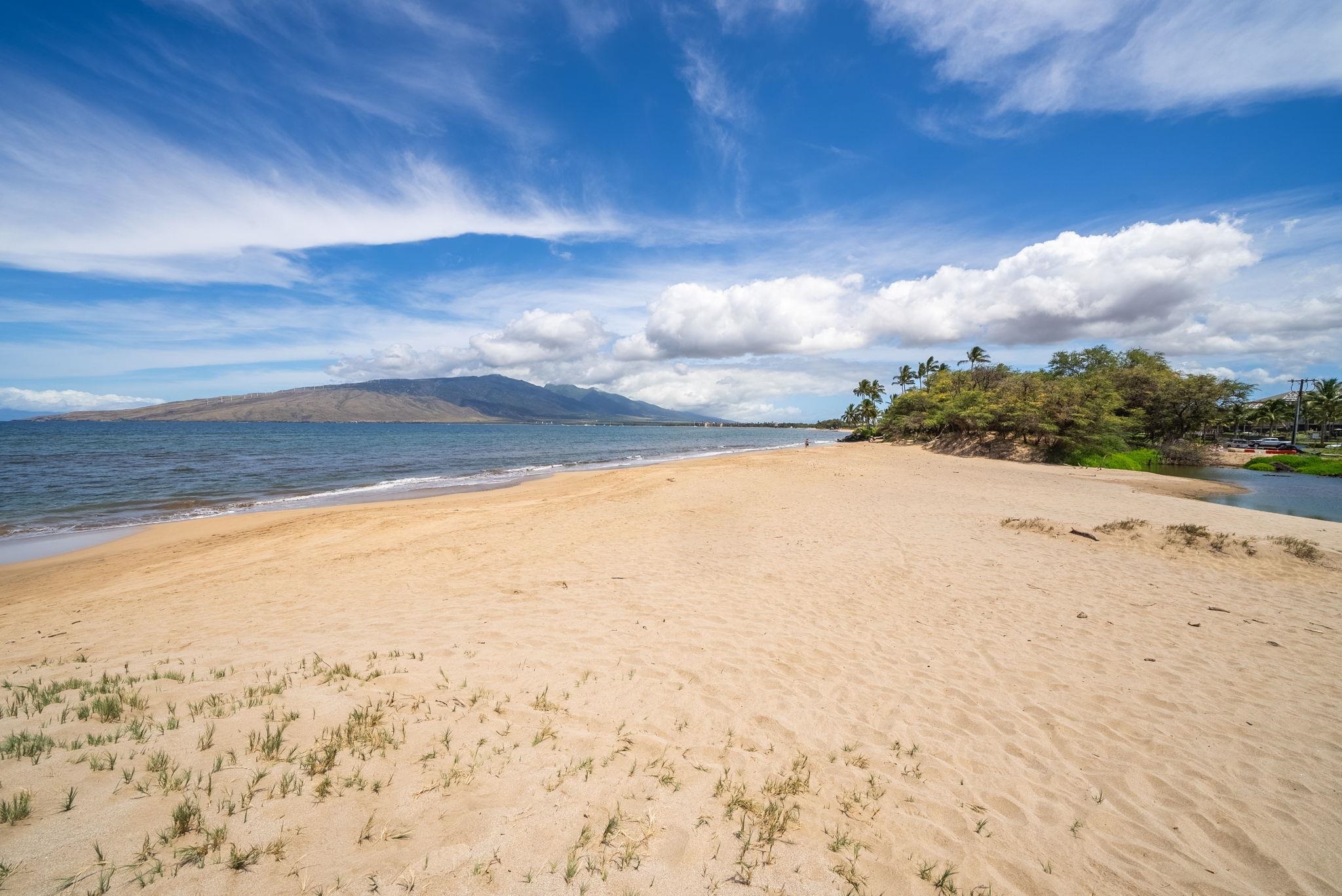 Kihei Bay Vista condo # C204, Kihei, Hawaii - photo 45 of 46