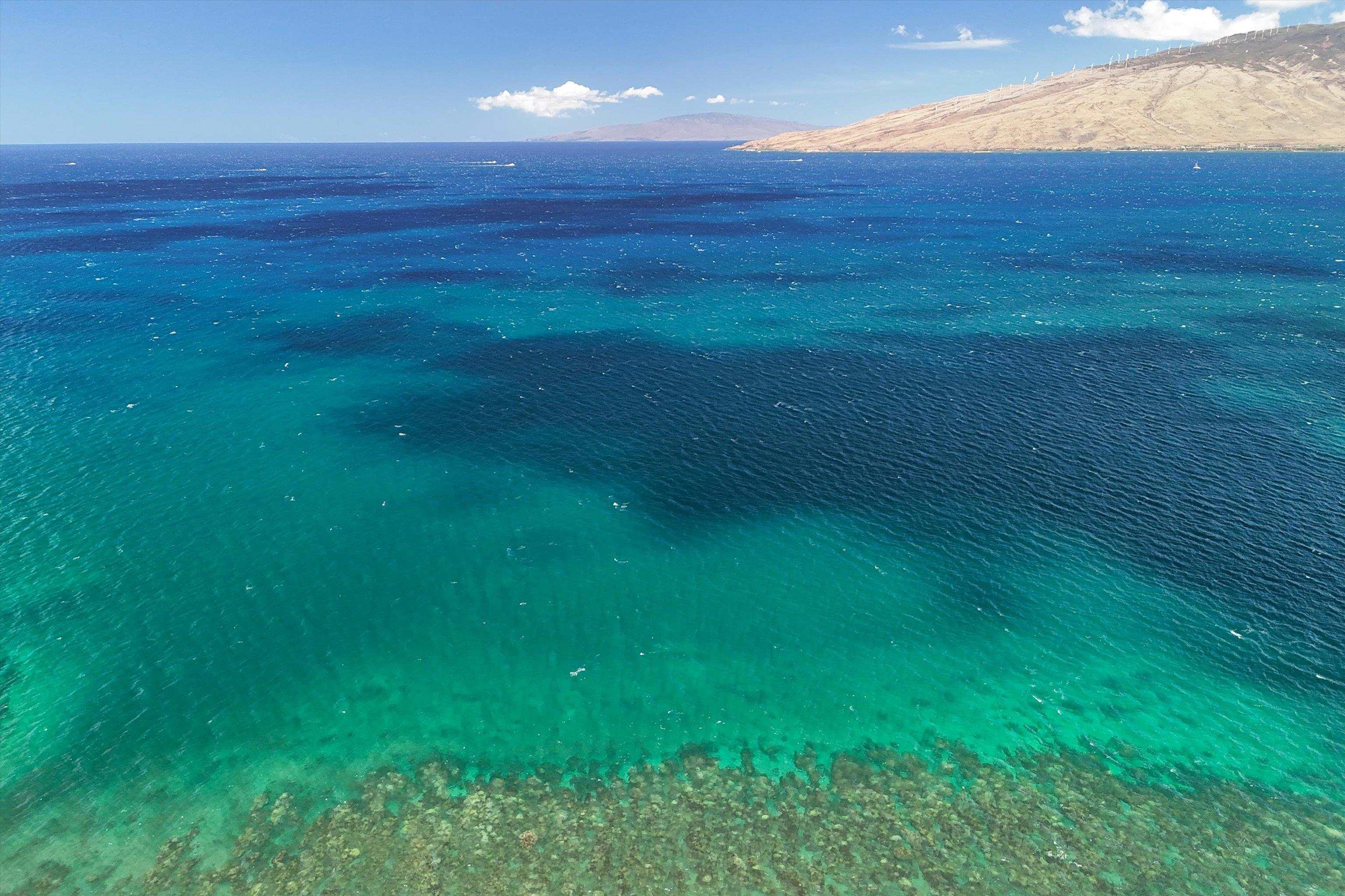 Kihei Bay Vista condo # C204, Kihei, Hawaii - photo 29 of 34