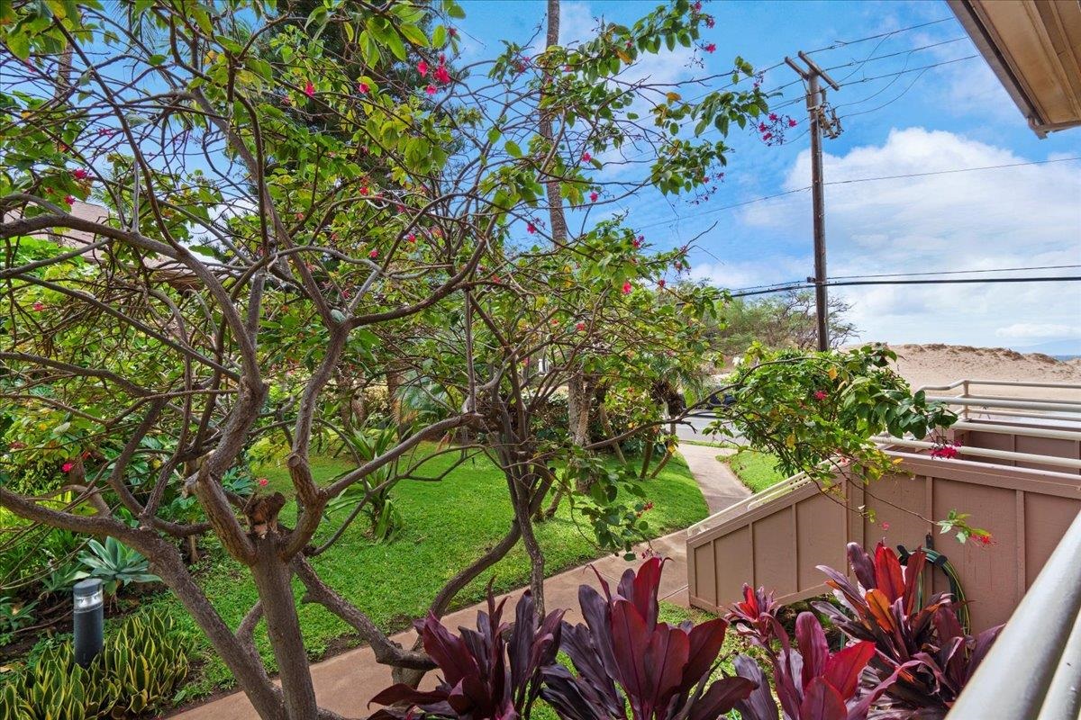 Kihei Bay Vista condo # D111, Kihei, Hawaii - photo 2 of 45
