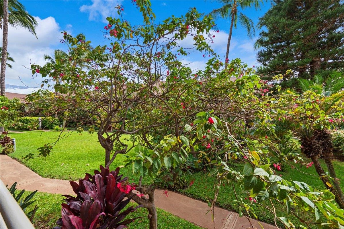 Kihei Bay Vista condo # D111, Kihei, Hawaii - photo 19 of 45