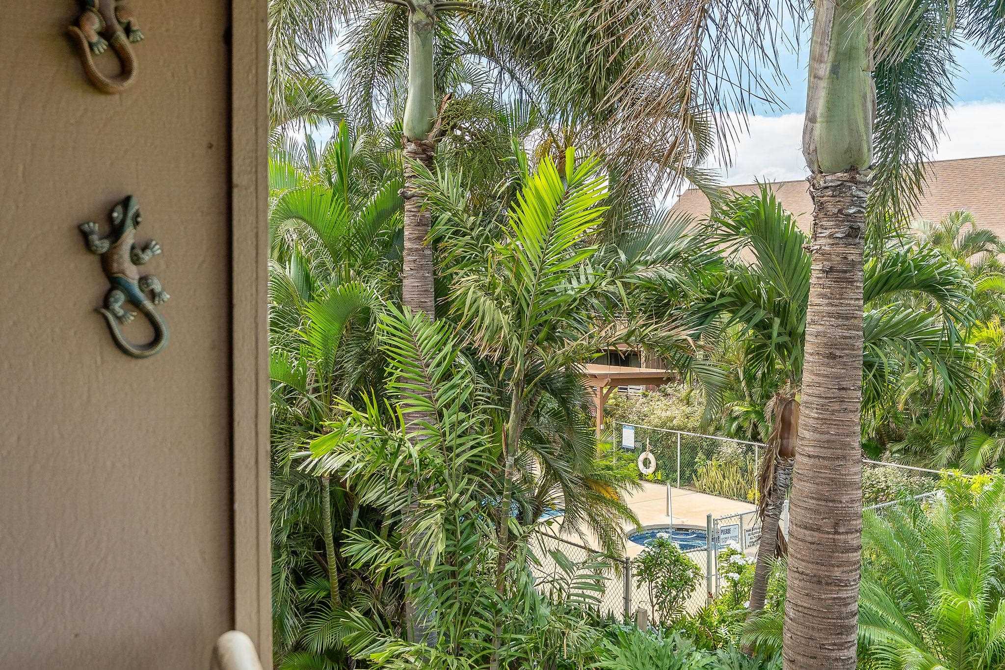 Kihei Bay Vista condo # D-207, Kihei, Hawaii - photo 25 of 36