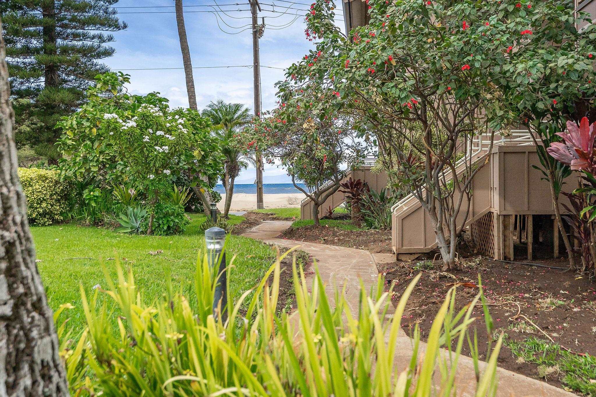 Kihei Bay Vista condo # D-207, Kihei, Hawaii - photo 27 of 36