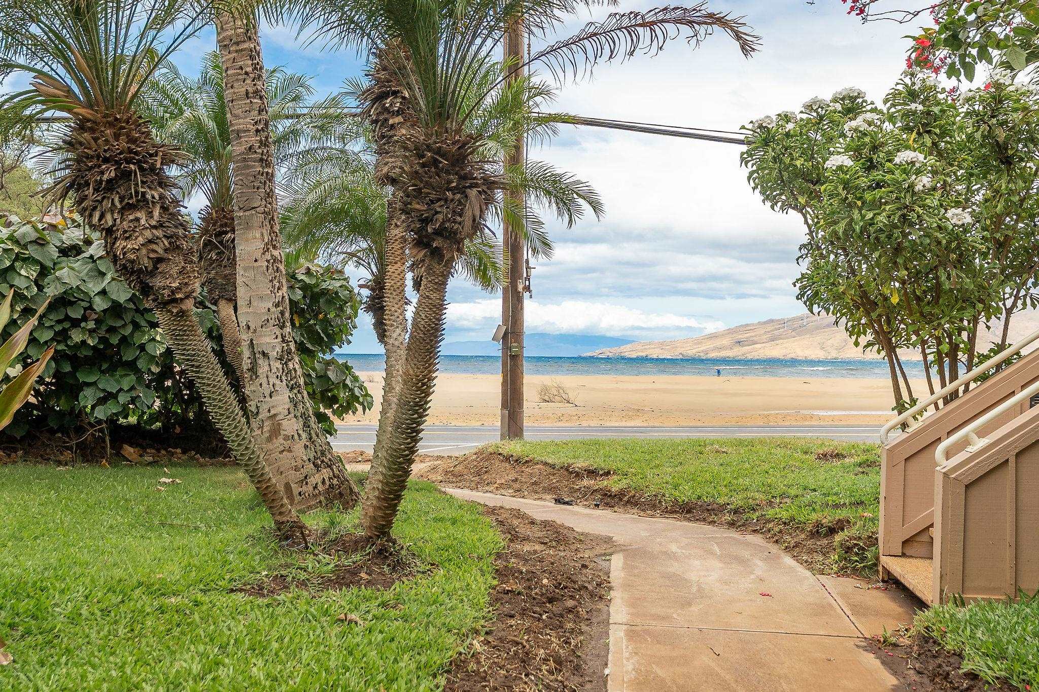 Kihei Bay Vista condo # D-207, Kihei, Hawaii - photo 33 of 36