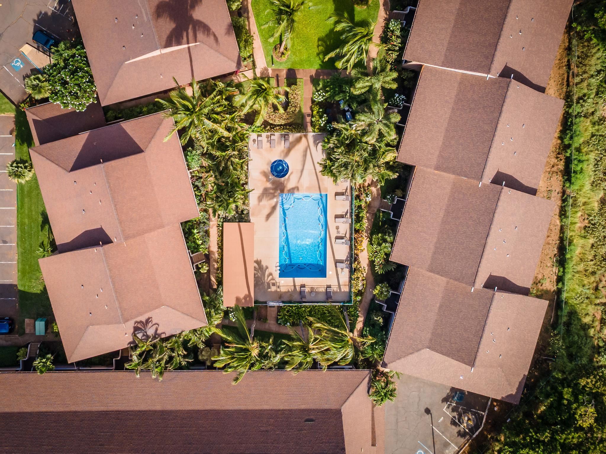 Kihei Bay Vista condo # D-207, Kihei, Hawaii - photo 6 of 36