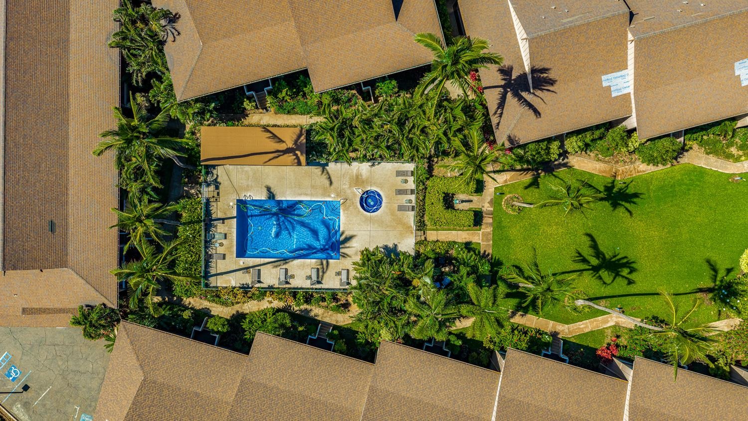 Kihei Bay Vista condo # D208, Kihei, Hawaii - photo 23 of 38