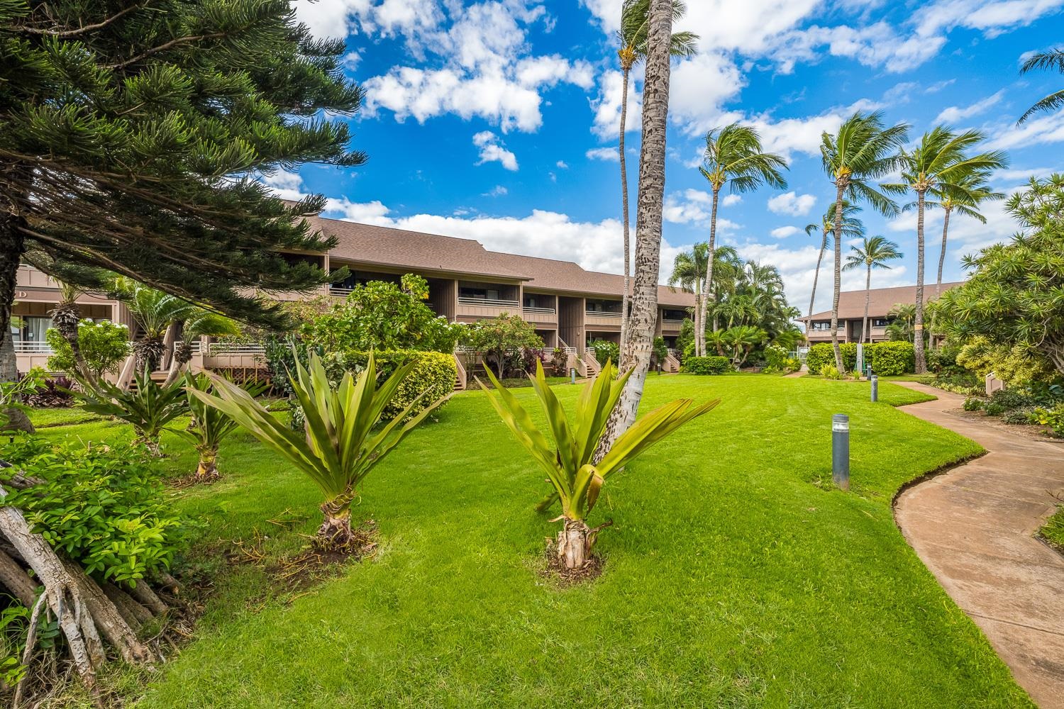 Kihei Bay Vista condo # D208, Kihei, Hawaii - photo 29 of 38
