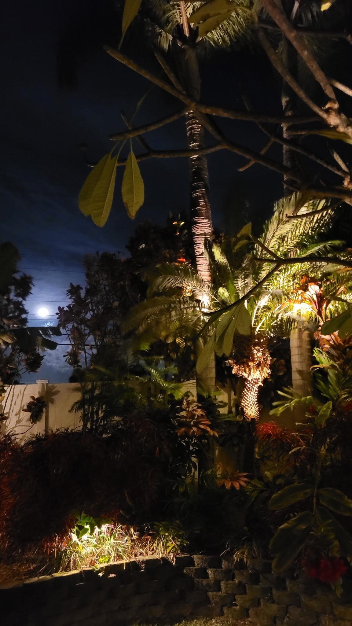 Kehalani Gardens condo # 902, Wailuku, Hawaii - photo 38 of 39