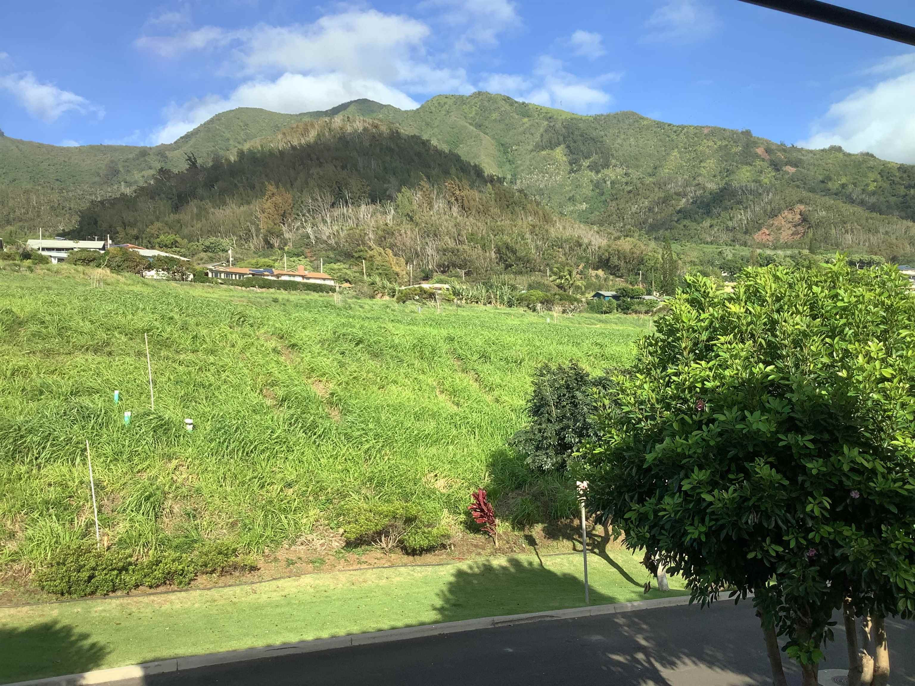 Villas at Kehalani condo # 2701, Wailuku, Hawaii - photo 34 of 37