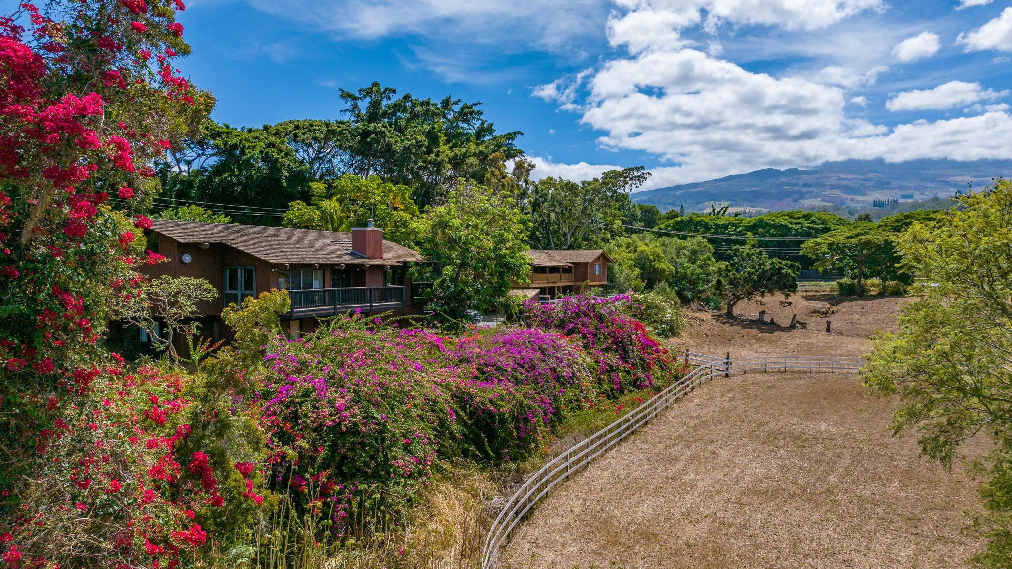 680  Makani Rd , Makawao/Olinda/Haliimaile home - photo 6 of 8