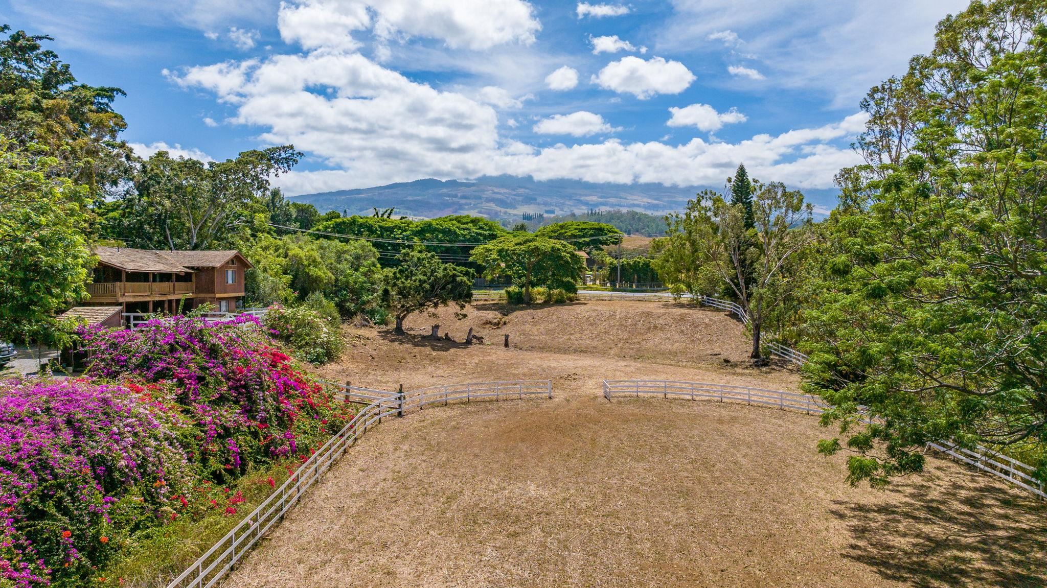 680  Makani Rd , Makawao/Olinda/Haliimaile home - photo 7 of 8