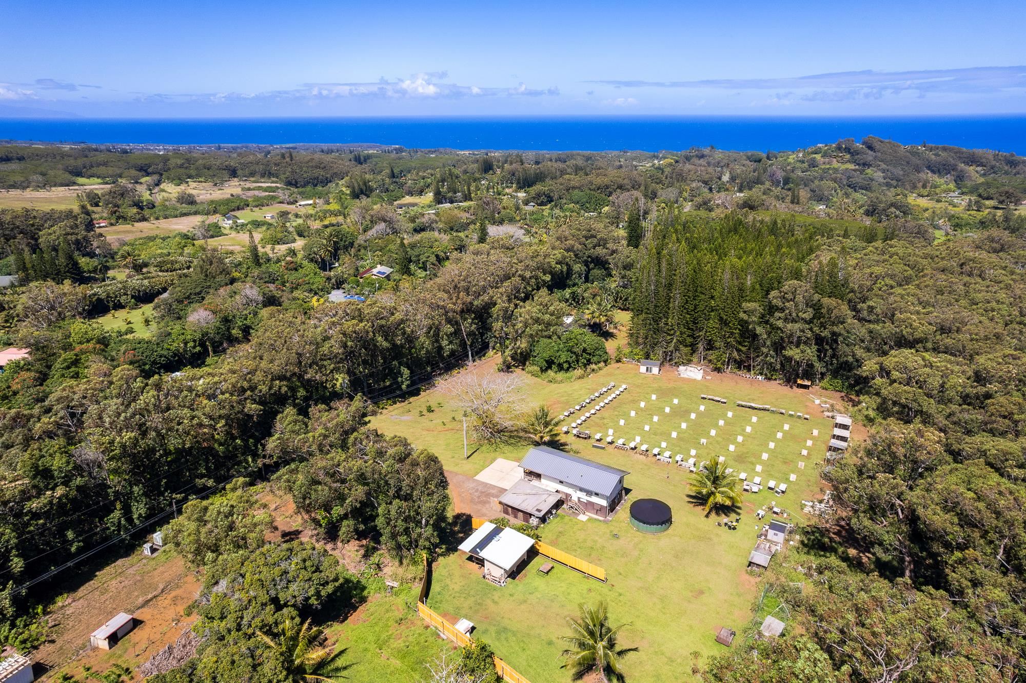 685  Upper Ulumalu Rd , Haiku home - photo 25 of 34