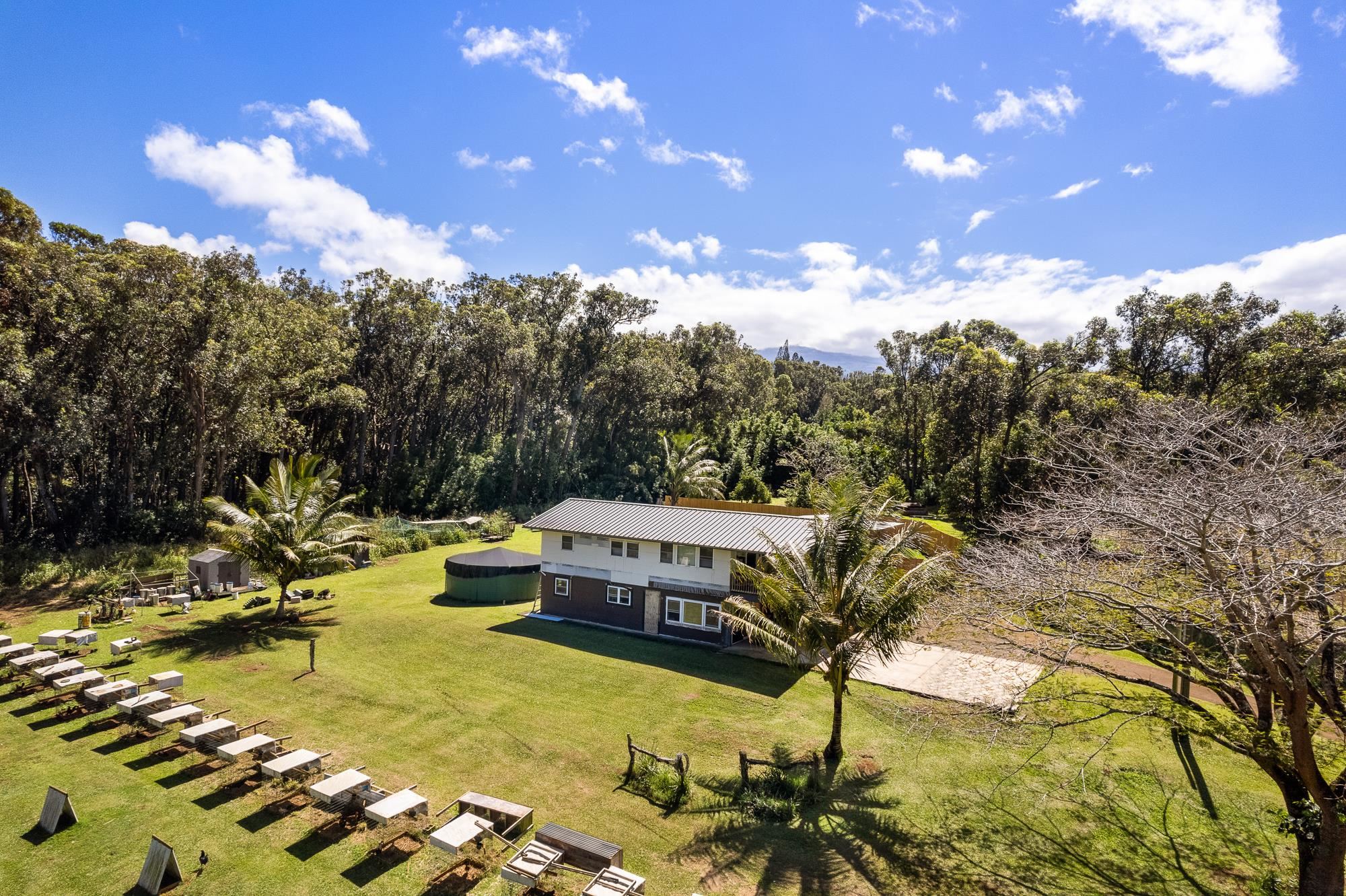 685  Upper Ulumalu Rd , Haiku home - photo 26 of 34