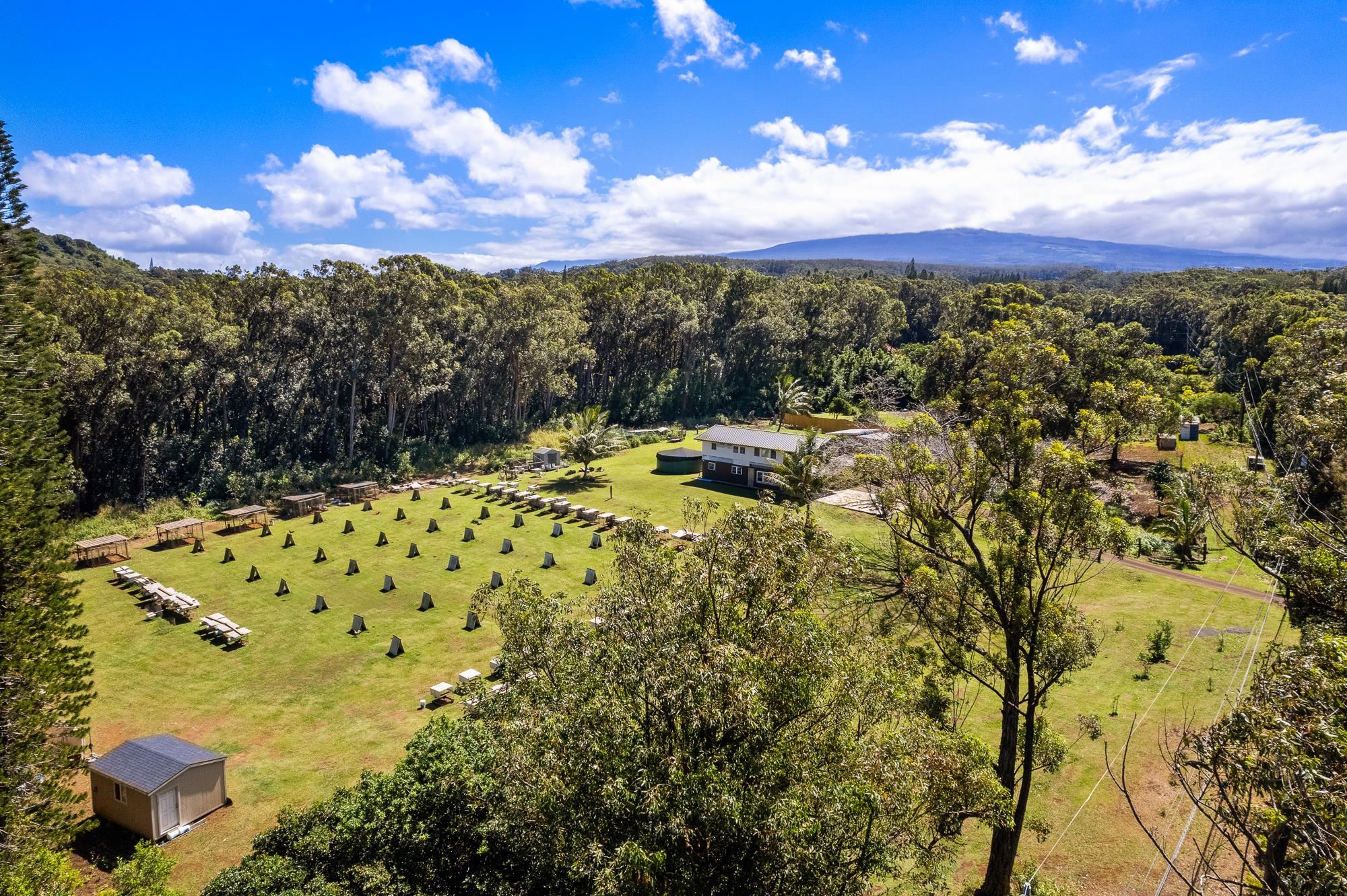685  Upper Ulumalu Rd , Haiku home - photo 27 of 34