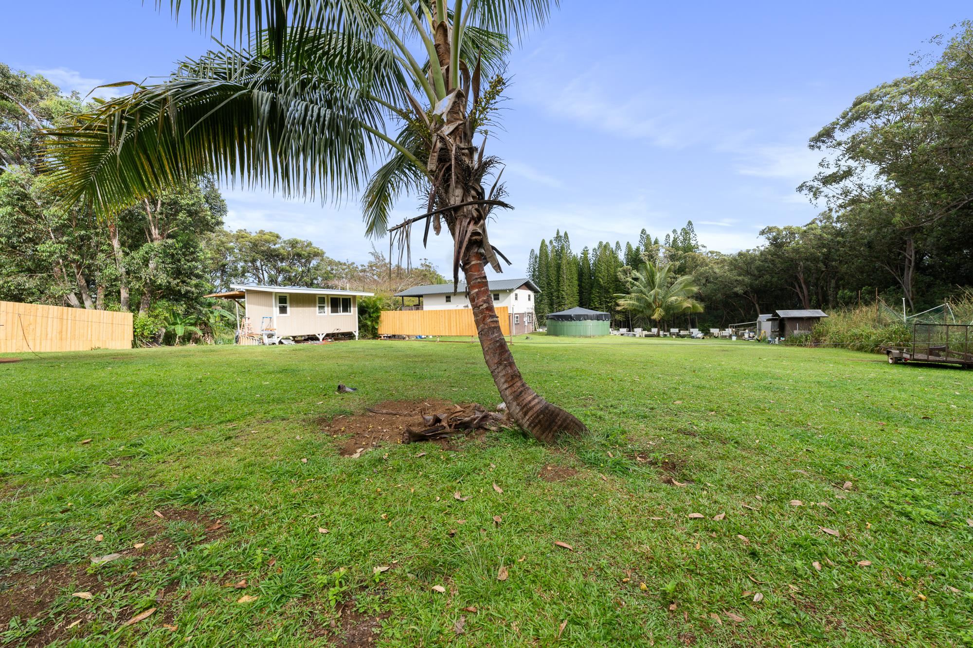 685  Upper Ulumalu Rd , Haiku home - photo 30 of 34