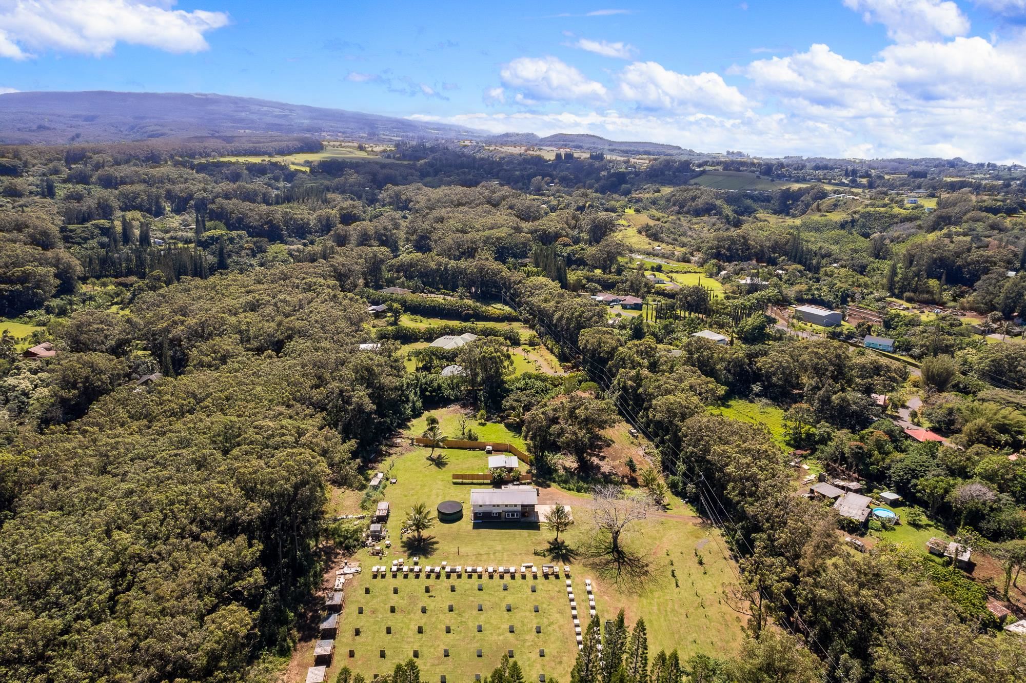 685  Upper Ulumalu Rd , Haiku home - photo 32 of 34