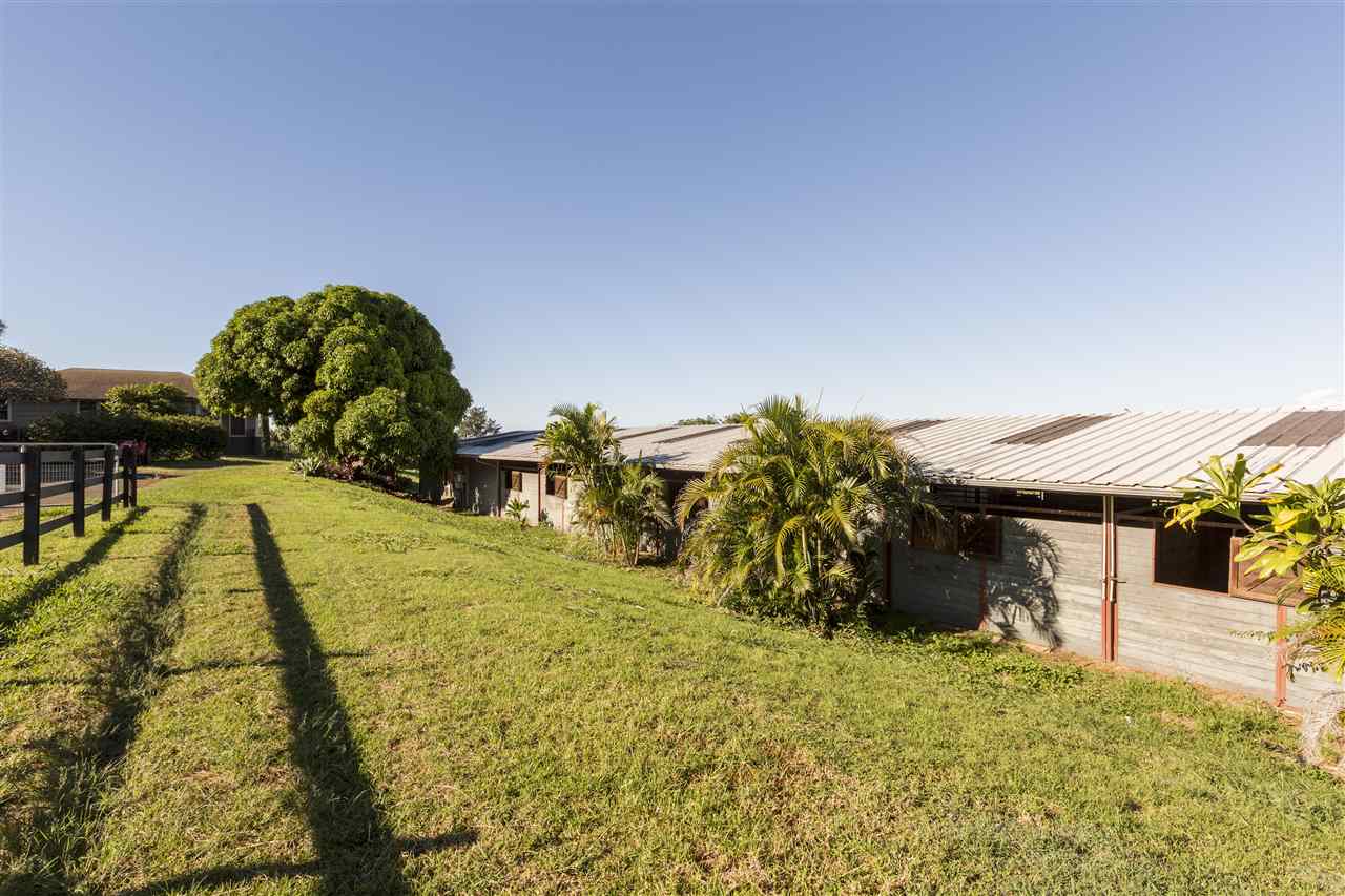 686  Omaopio Rd , Kula/Ulupalakua/Kanaio home - photo 5 of 20