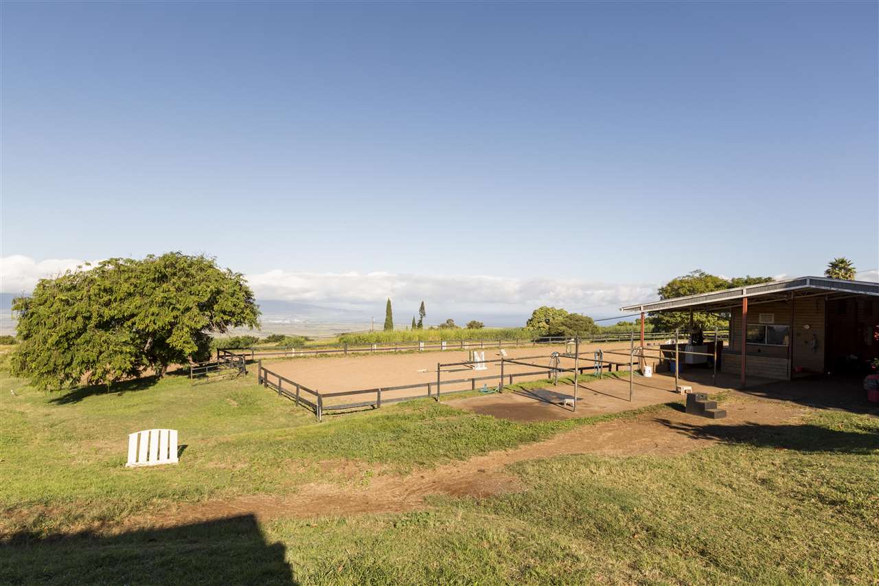 686  Omaopio Rd , Kula/Ulupalakua/Kanaio home - photo 6 of 20