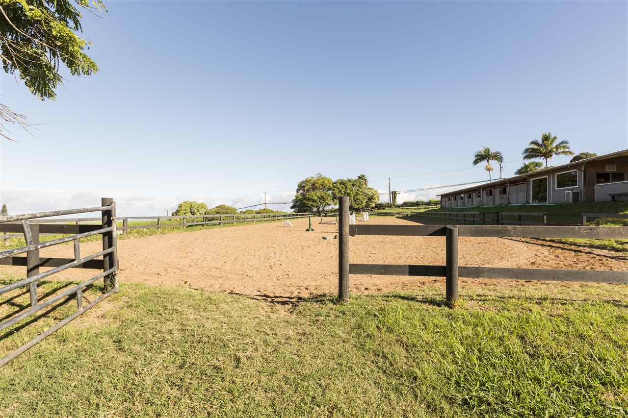 686  Omaopio Rd , Kula/Ulupalakua/Kanaio home - photo 7 of 20