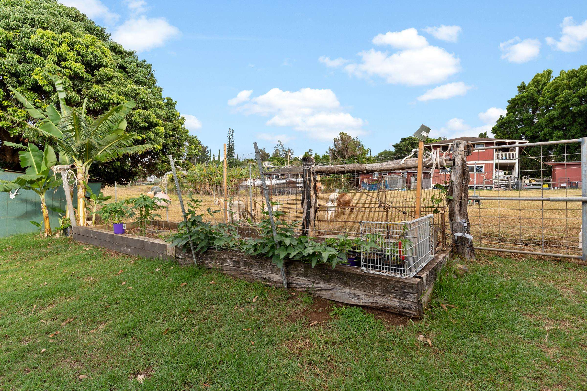 686  Onipaa Pl , Makawao/Olinda/Haliimaile home - photo 36 of 36