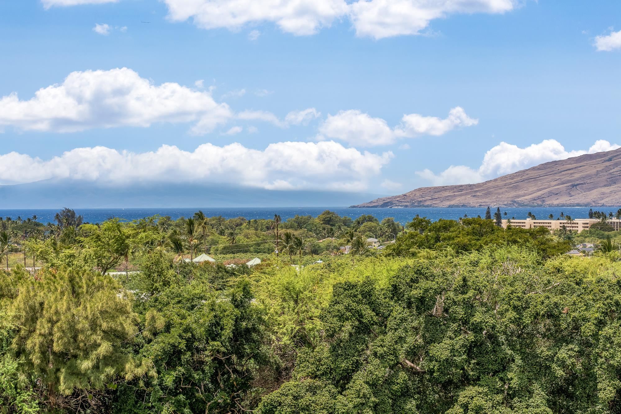 Hokulani Golf Villas condo # 124, Kihei, Hawaii - photo 8 of 30