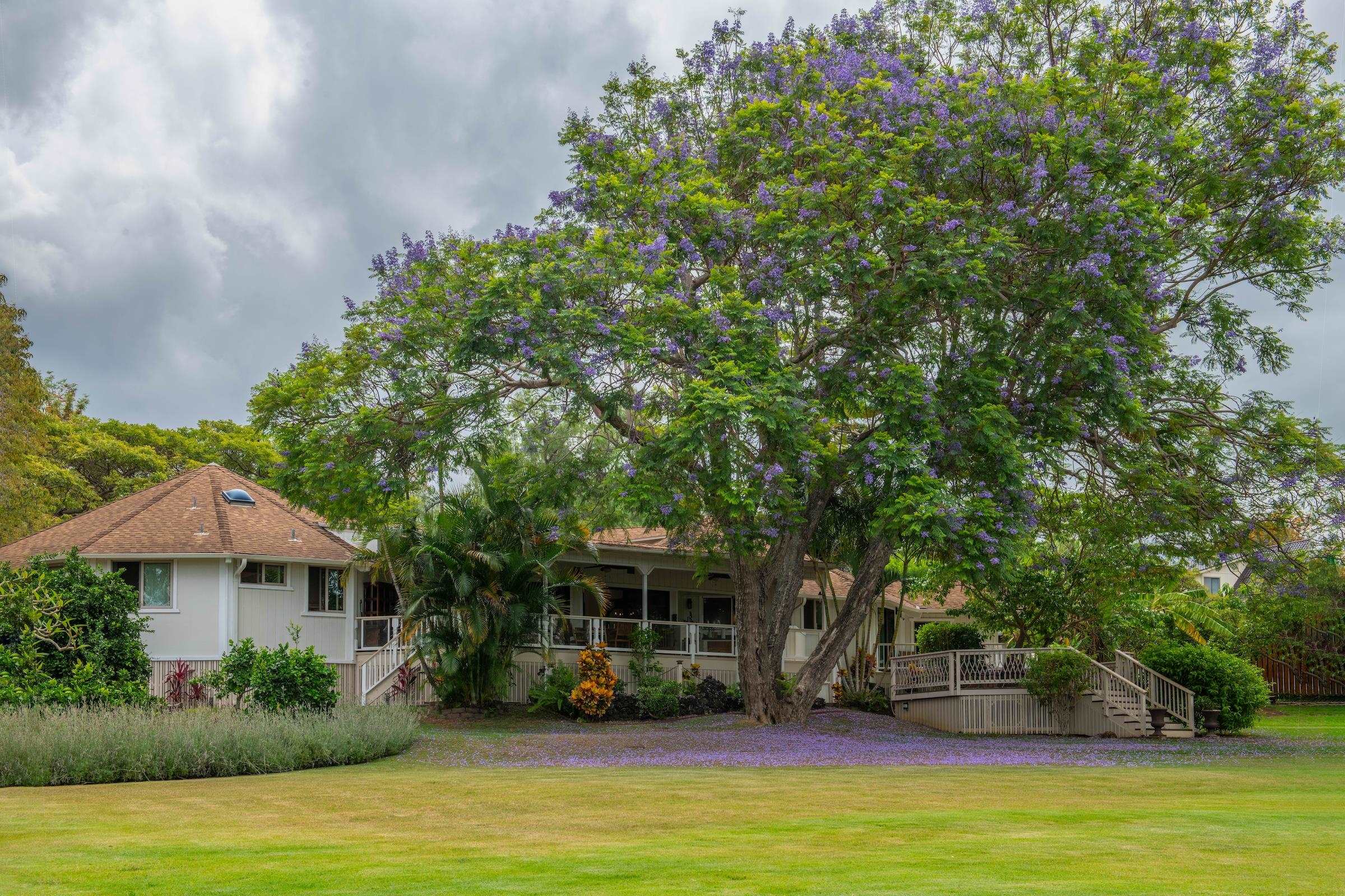 69  Aulii Dr Kula 200, Pukalani home - photo 34 of 50