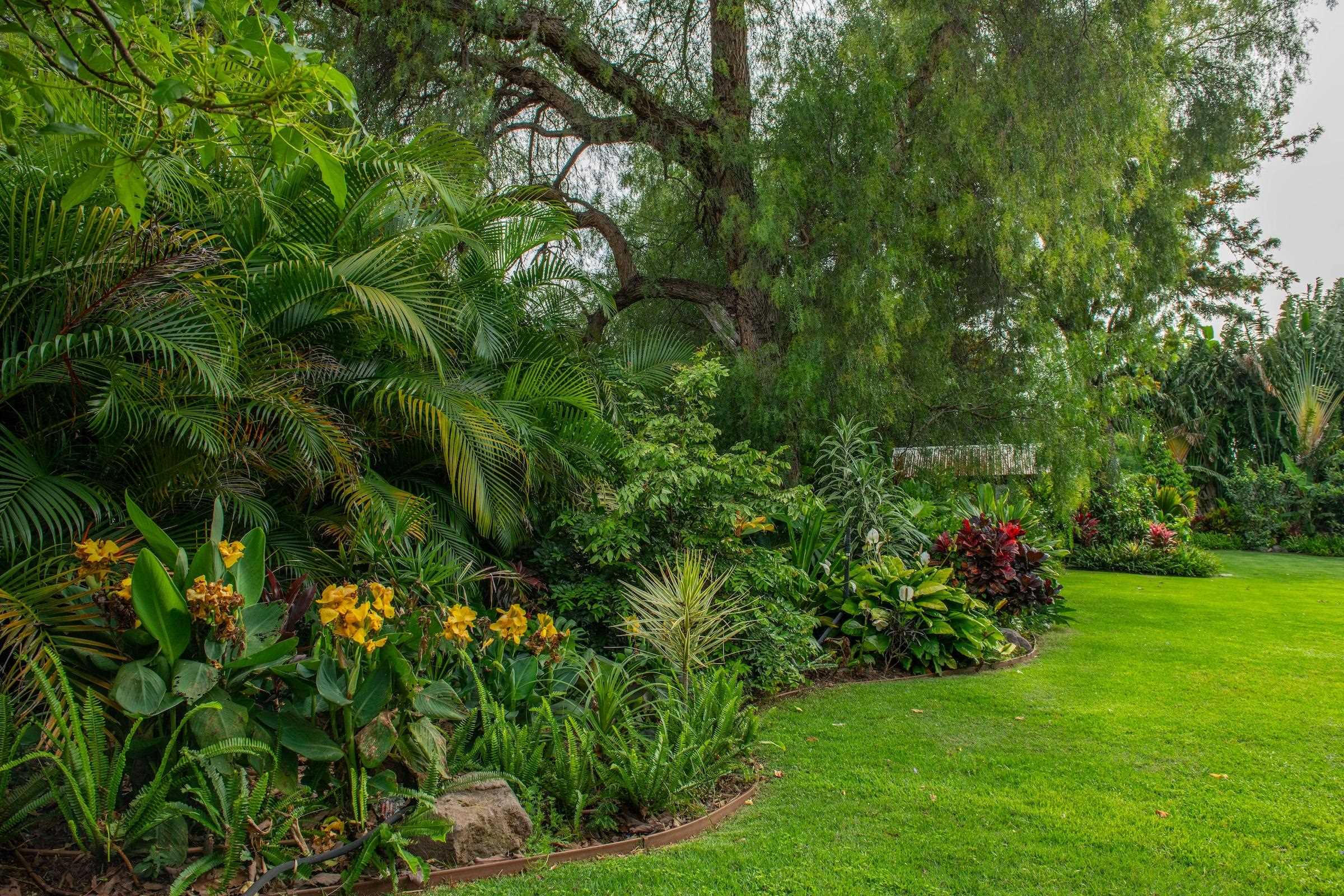 69  Aulii Dr Kula 200, Pukalani home - photo 35 of 50