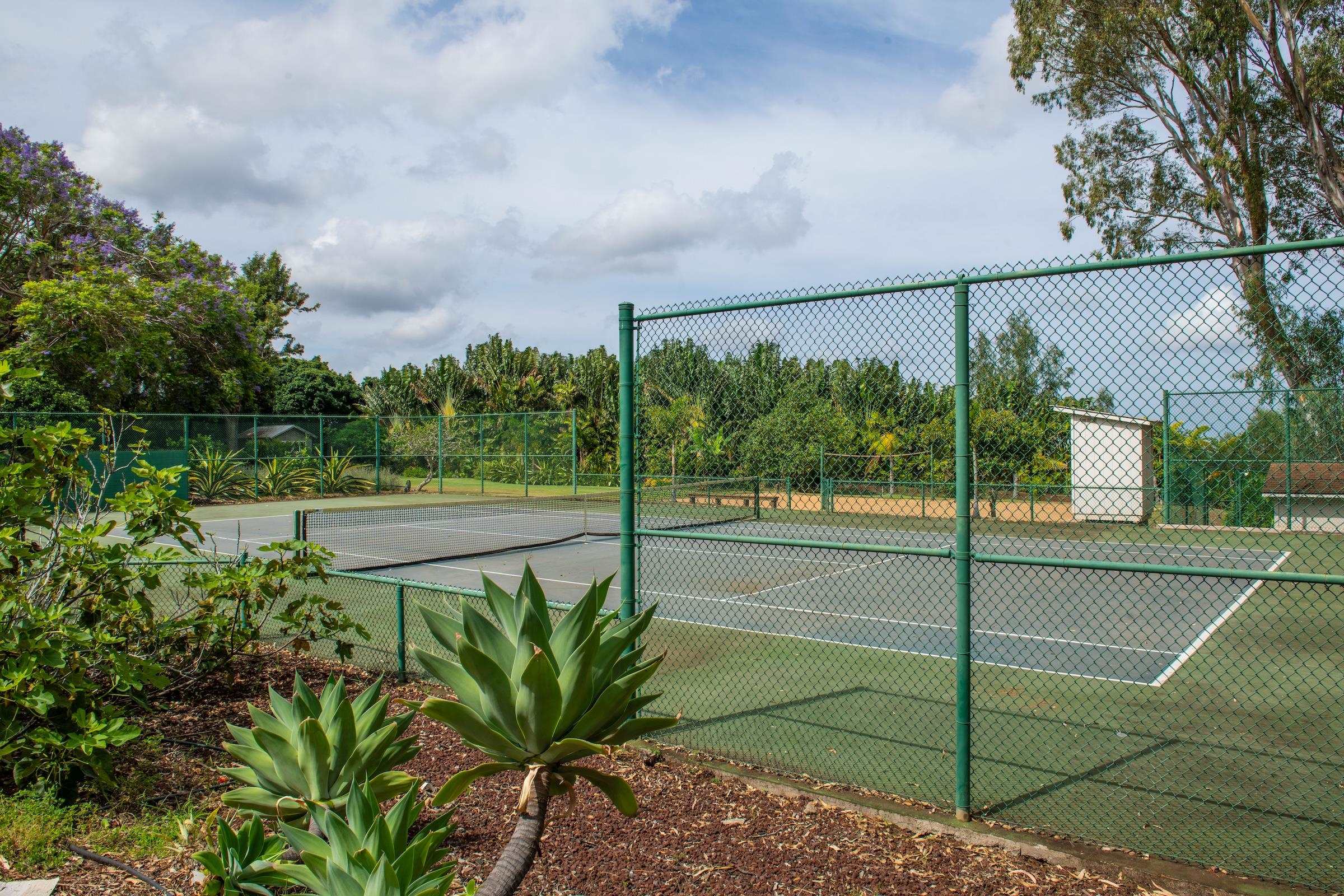 69  Aulii Dr Kula 200, Pukalani home - photo 39 of 50