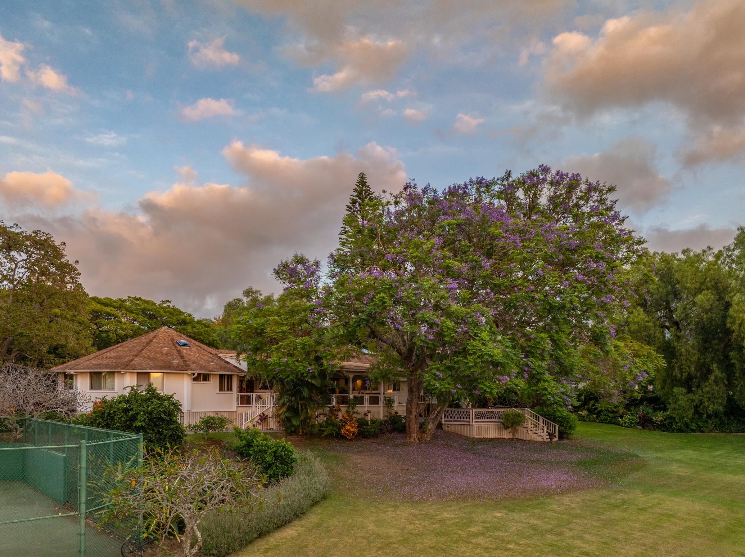 69  Aulii Dr Kula 200, Pukalani home - photo 41 of 50