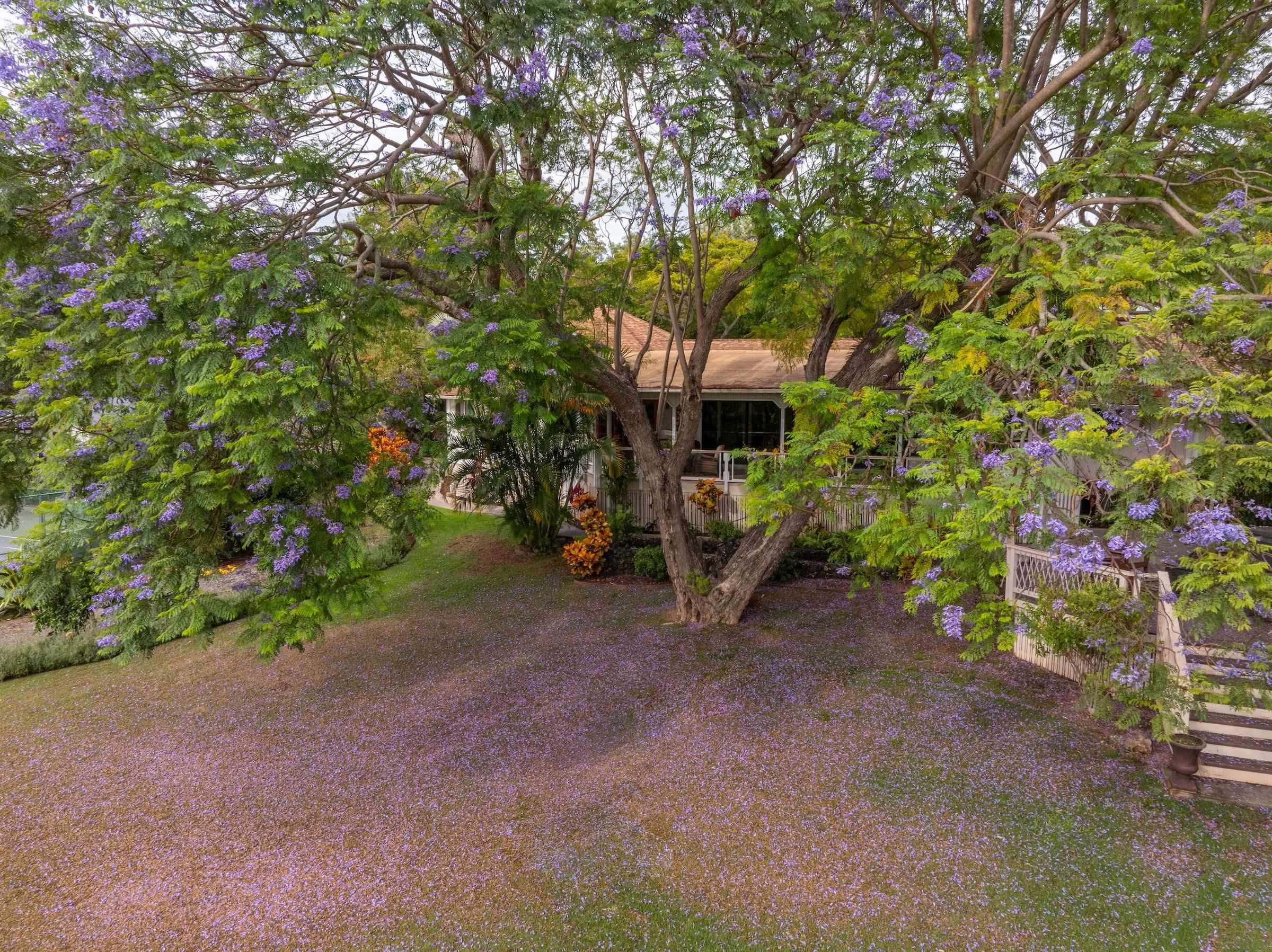 69  Aulii Dr Kula 200, Pukalani home - photo 46 of 50