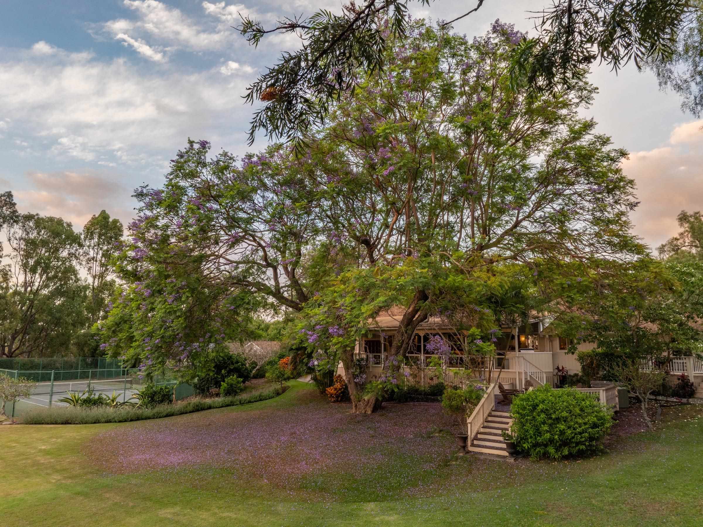 69  Aulii Dr Kula 200, Pukalani home - photo 47 of 50