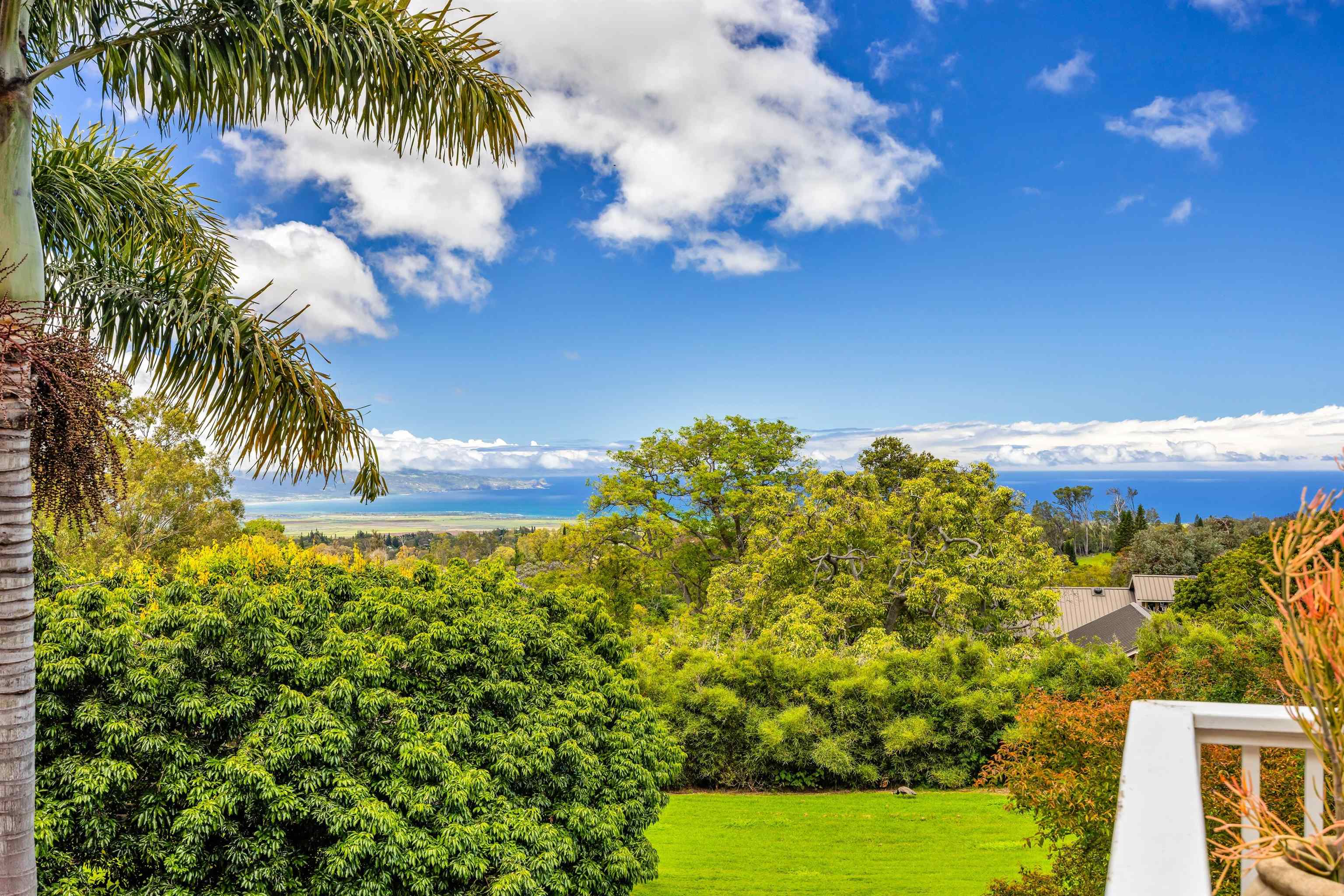 690  Olinda Rd Seabury, Makawao/Olinda/Haliimaile home - photo 27 of 50