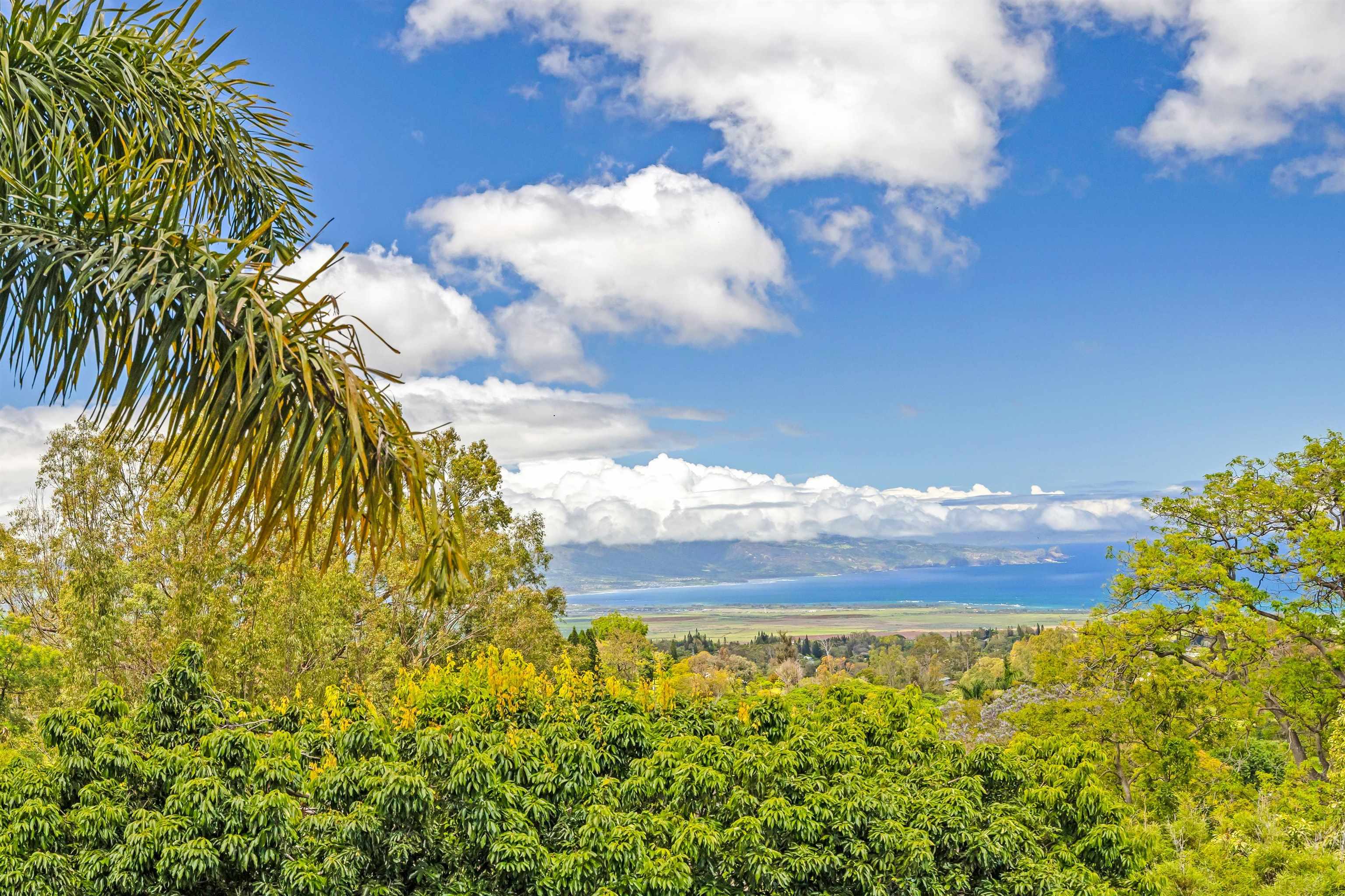 690  Olinda Rd Seabury, Makawao/Olinda/Haliimaile home - photo 28 of 50
