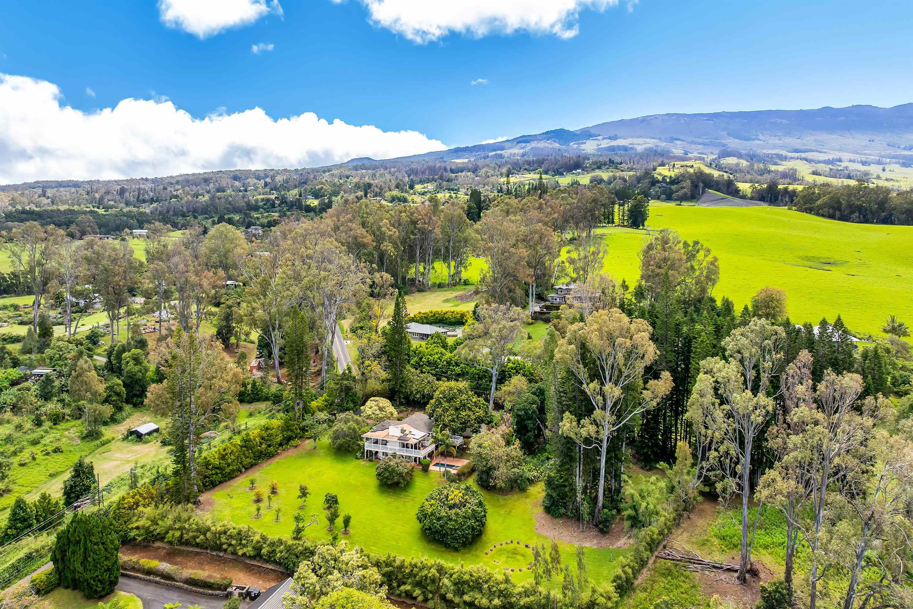 690  Olinda Rd Seabury, Makawao/Olinda/Haliimaile home - photo 29 of 50