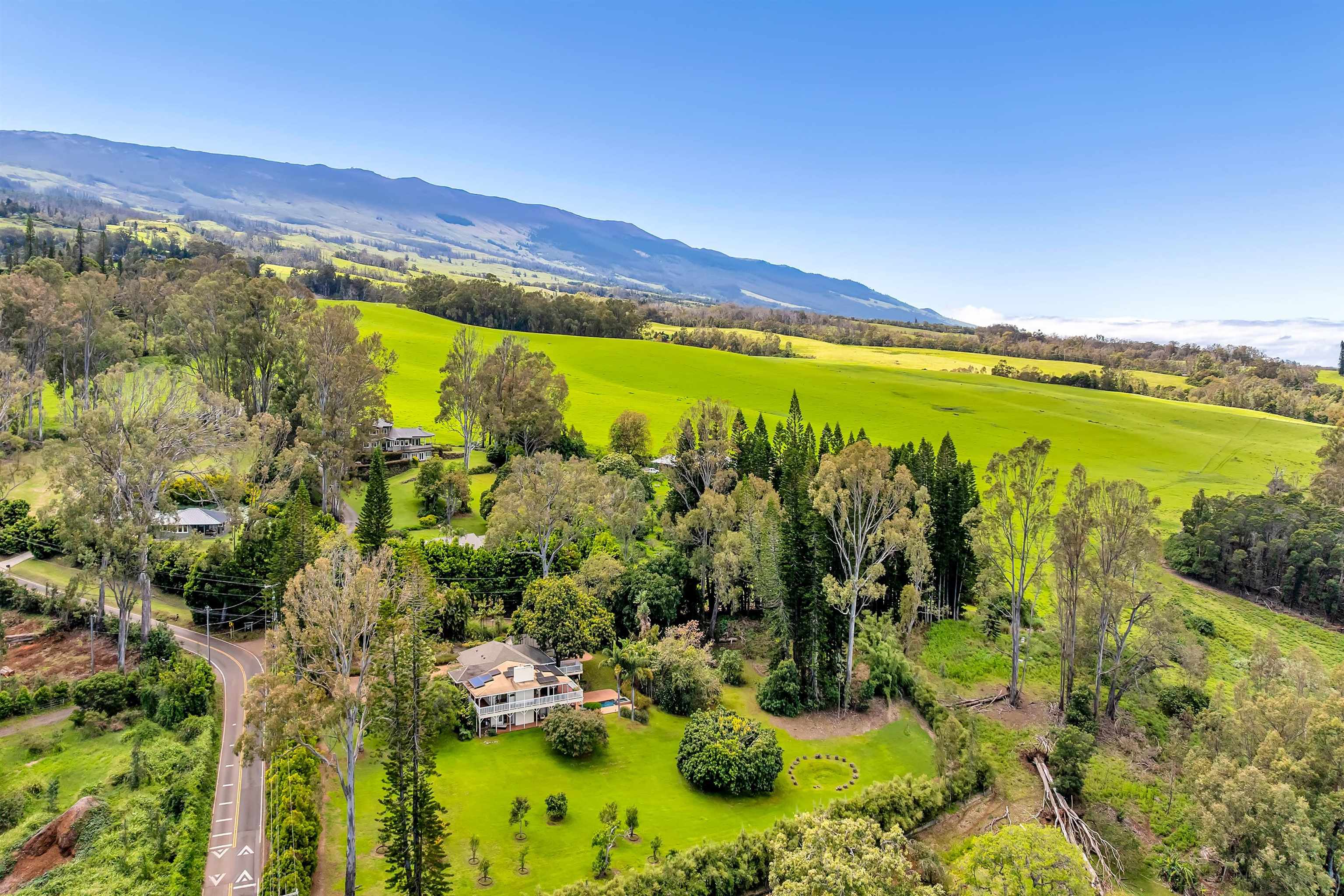 690  Olinda Rd Seabury, Makawao/Olinda/Haliimaile home - photo 30 of 50