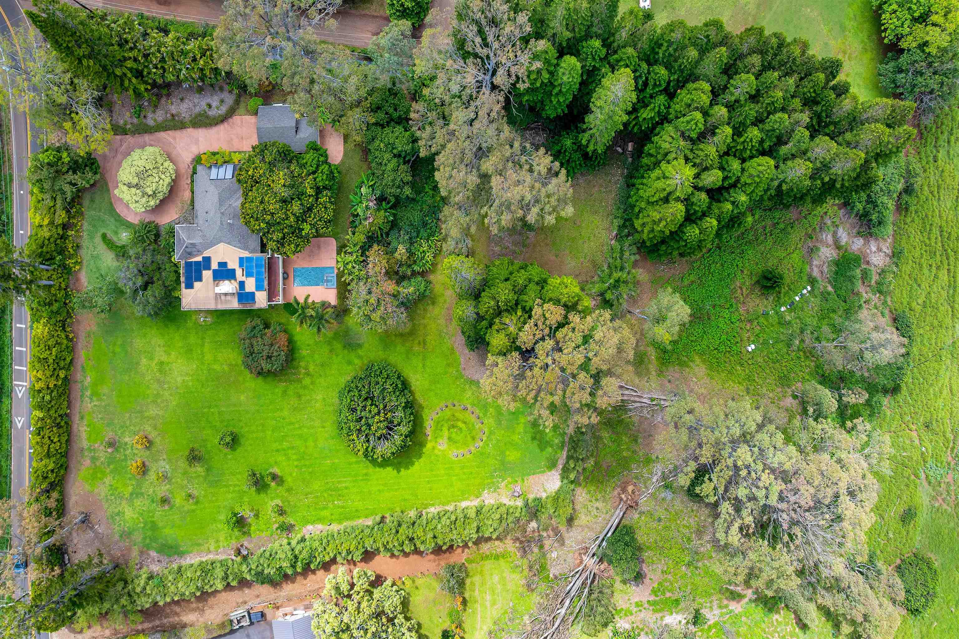 690  Olinda Rd Seabury, Makawao/Olinda/Haliimaile home - photo 32 of 50