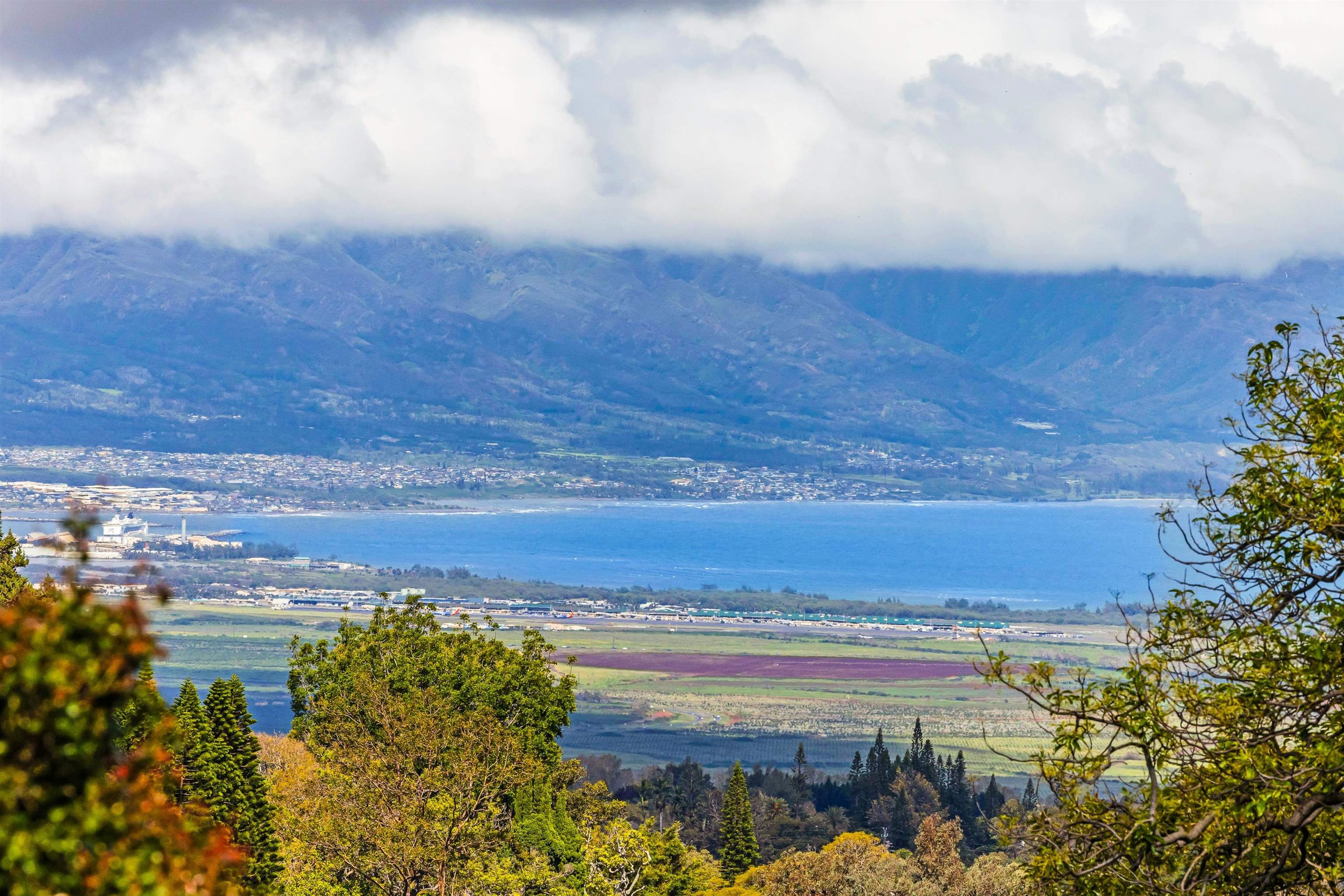 690  Olinda Rd Seabury, Makawao/Olinda/Haliimaile home - photo 7 of 50