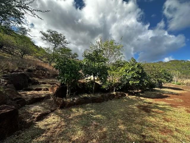 6925  Kamehameha V Hwy Keawa Nui, Molokai home - photo 21 of 33