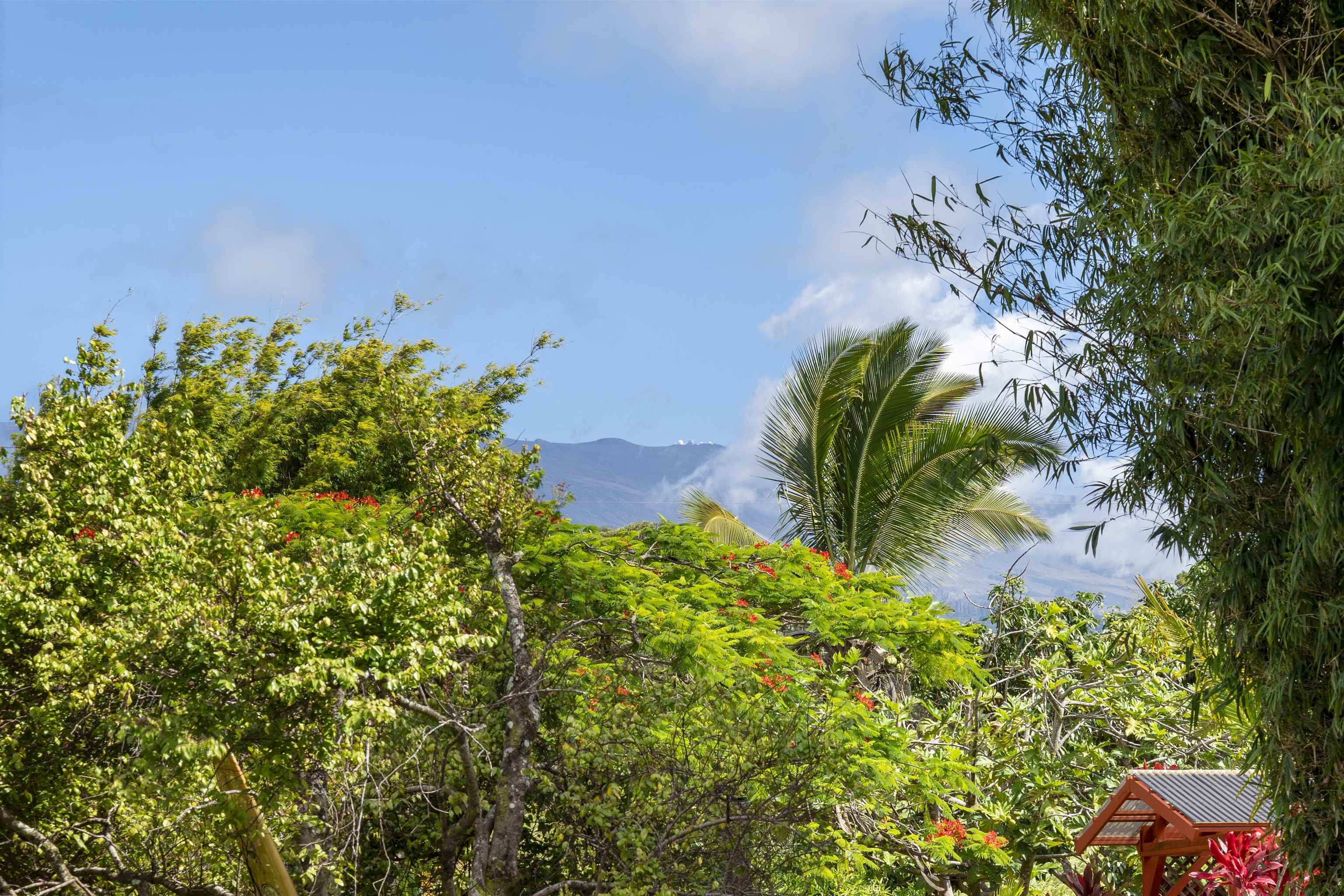 698  Kaupakalua Rd Haiku, Haiku home - photo 12 of 30