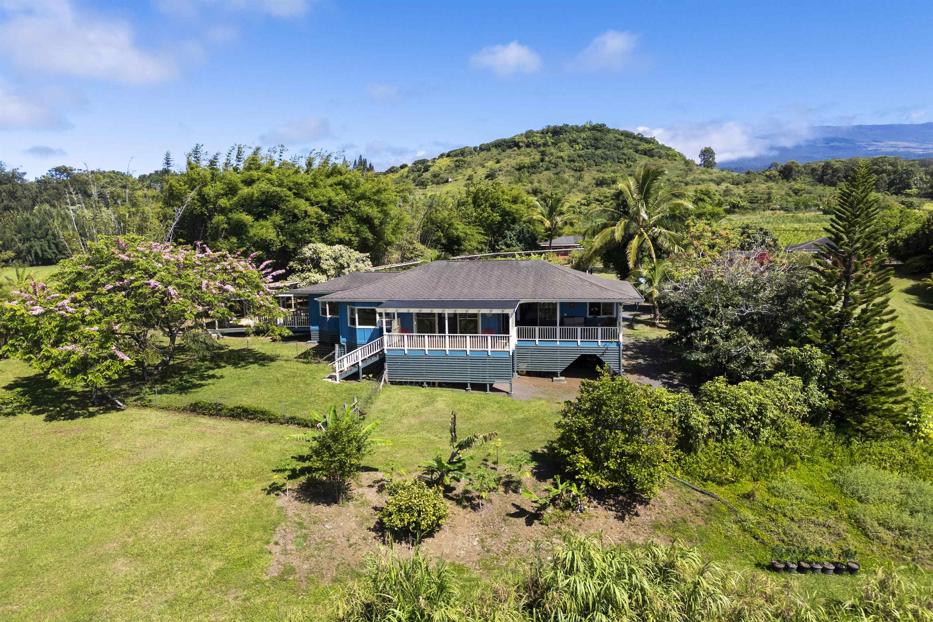 698  Kaupakalua Rd Haiku, Haiku home - photo 4 of 30