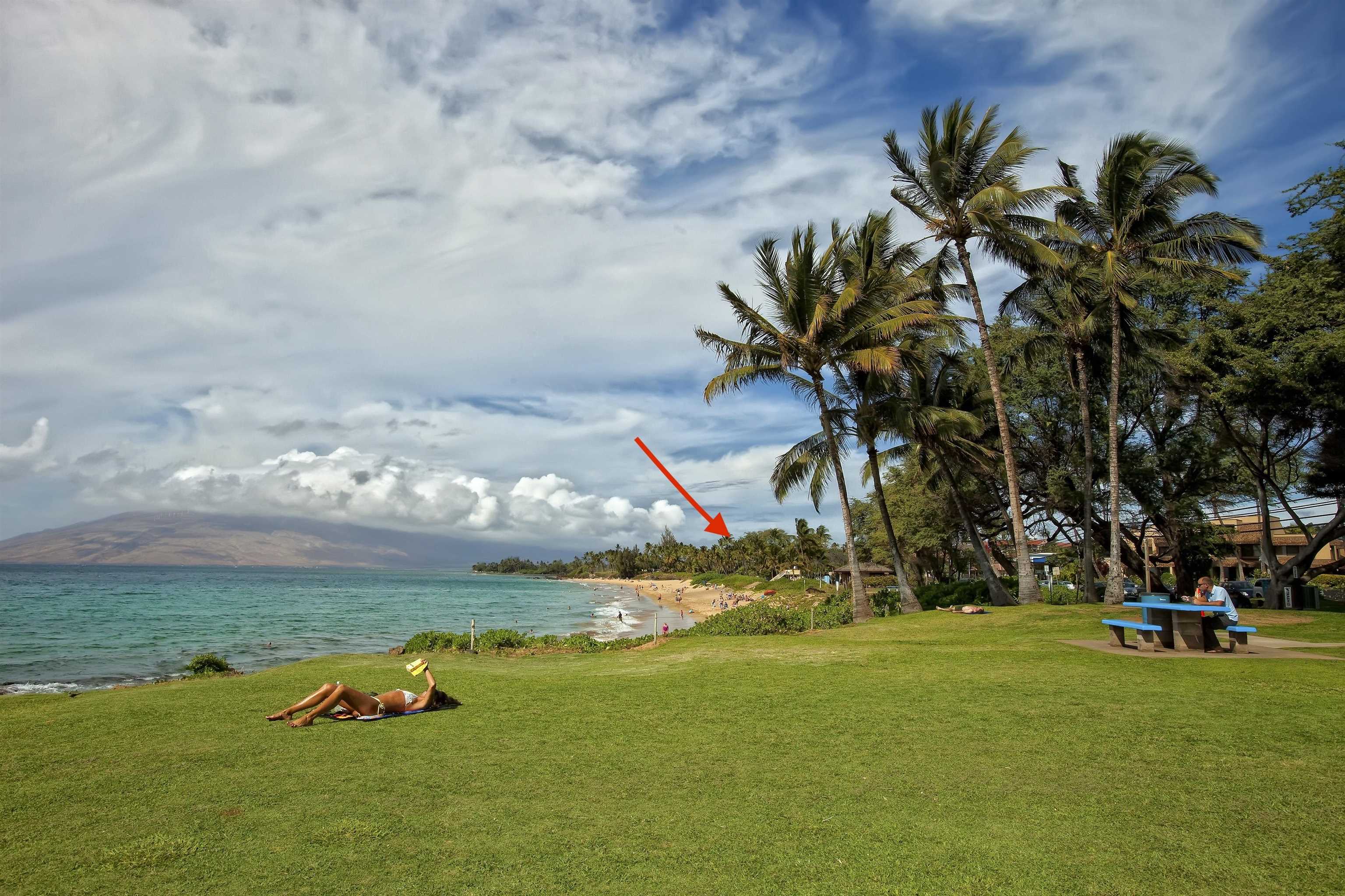 Hale Mahialani condo # 3, Kihei, Hawaii - photo 20 of 25