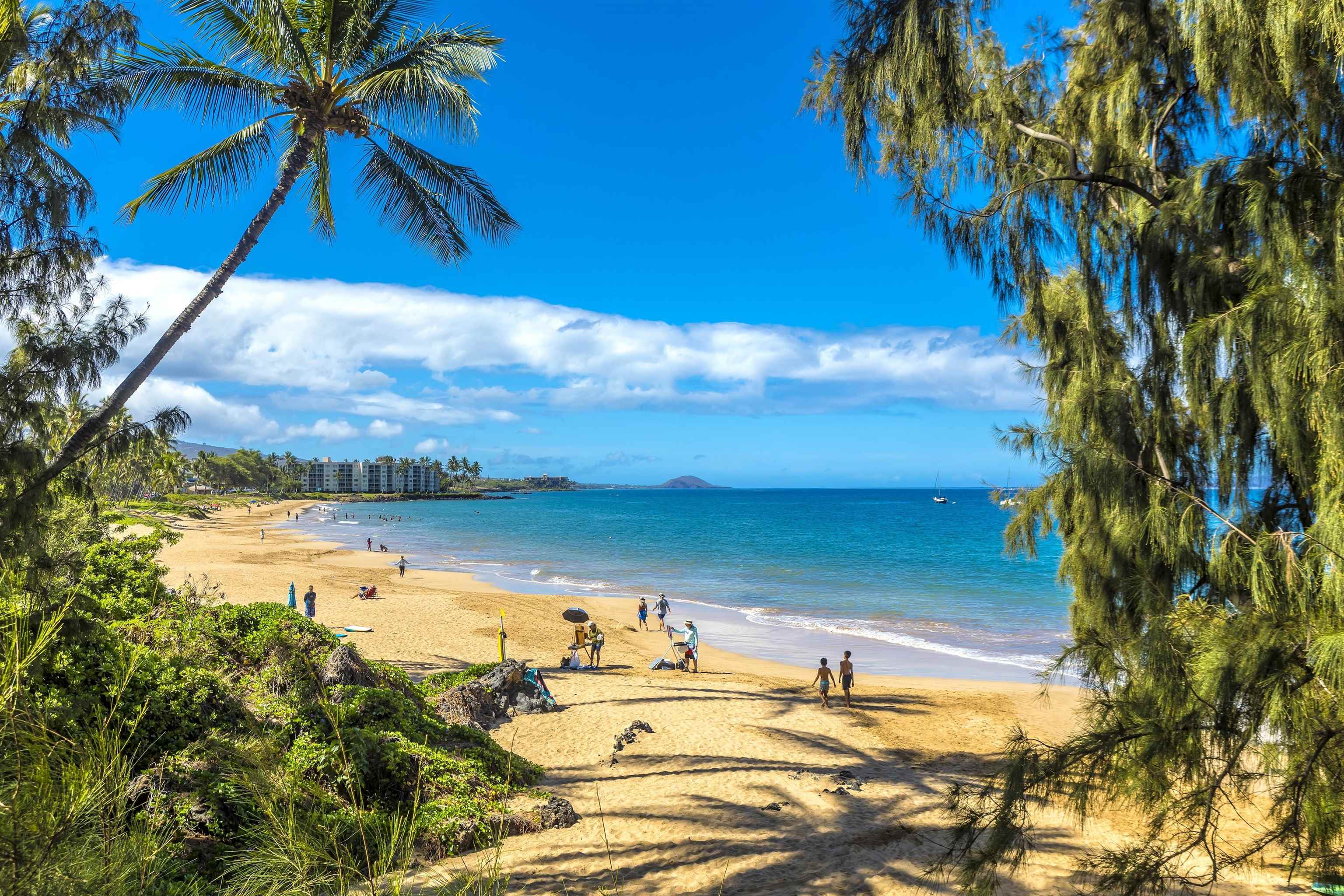 Hale Mahialani condo # 3, Kihei, Hawaii - photo 21 of 25