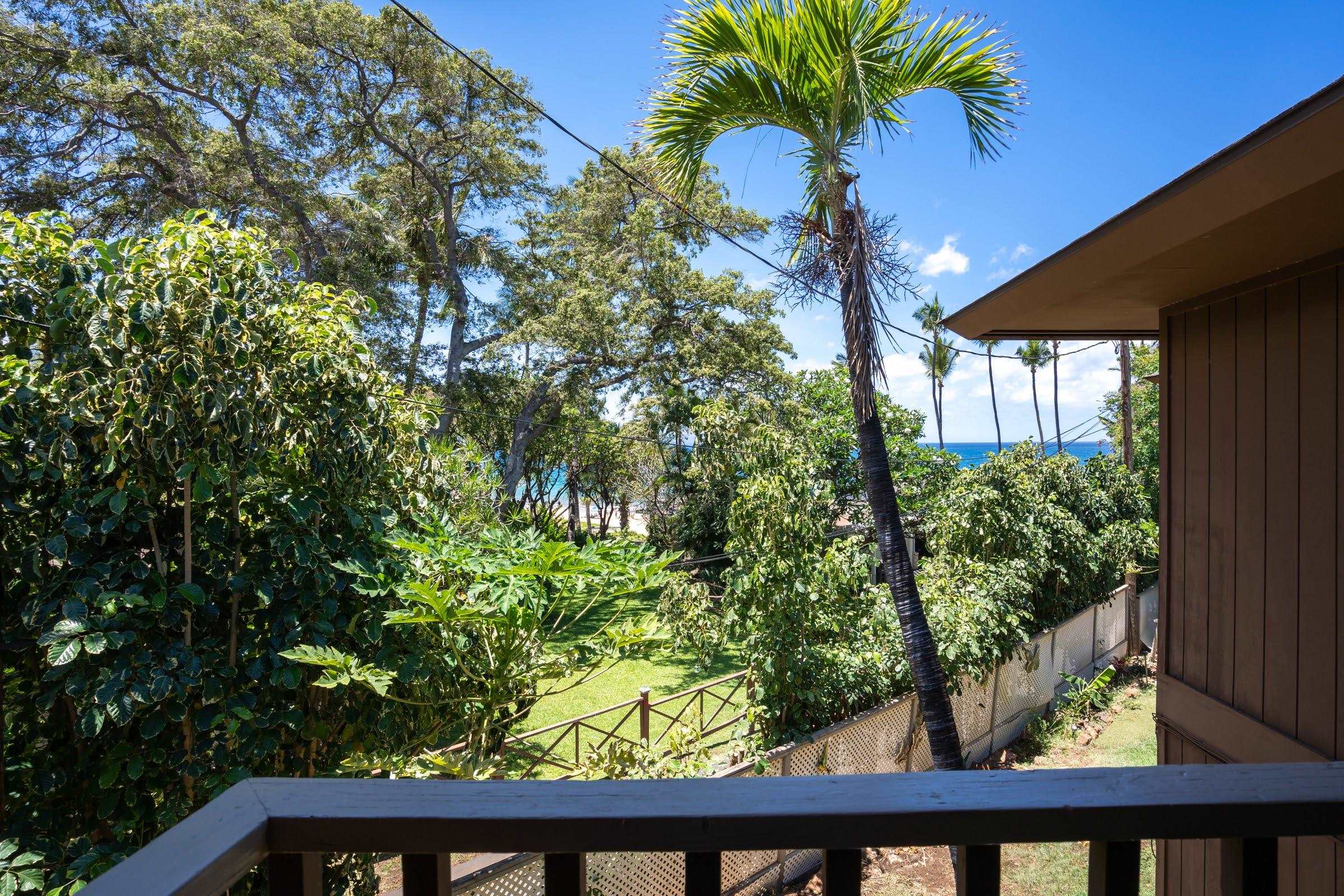 Hale Mahialani condo # 4, Kihei, Hawaii - photo 28 of 39