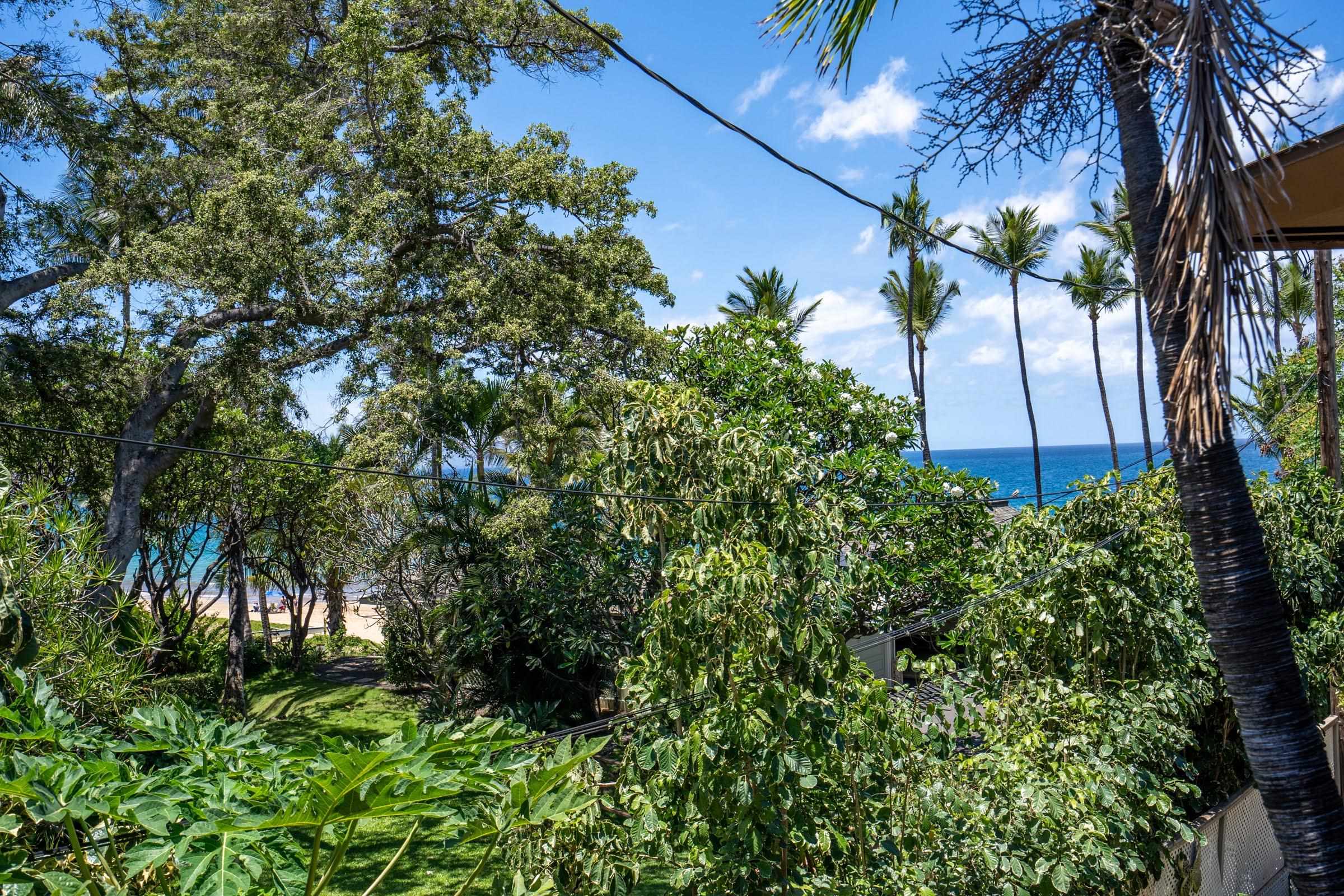 Hale Mahialani condo # 4, Kihei, Hawaii - photo 29 of 39