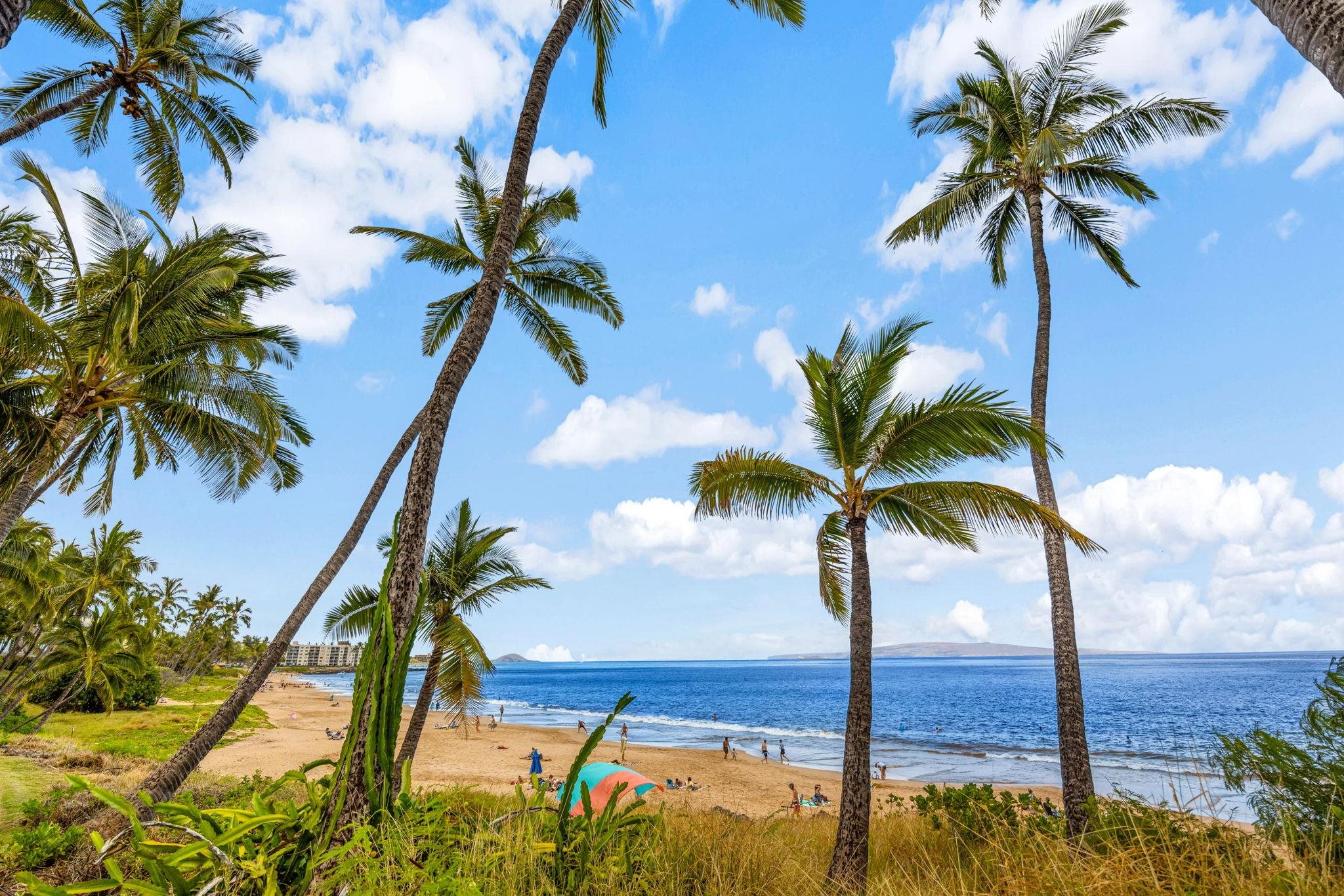 Hale Mahialani condo # 5, Kihei, Hawaii - photo 40 of 46