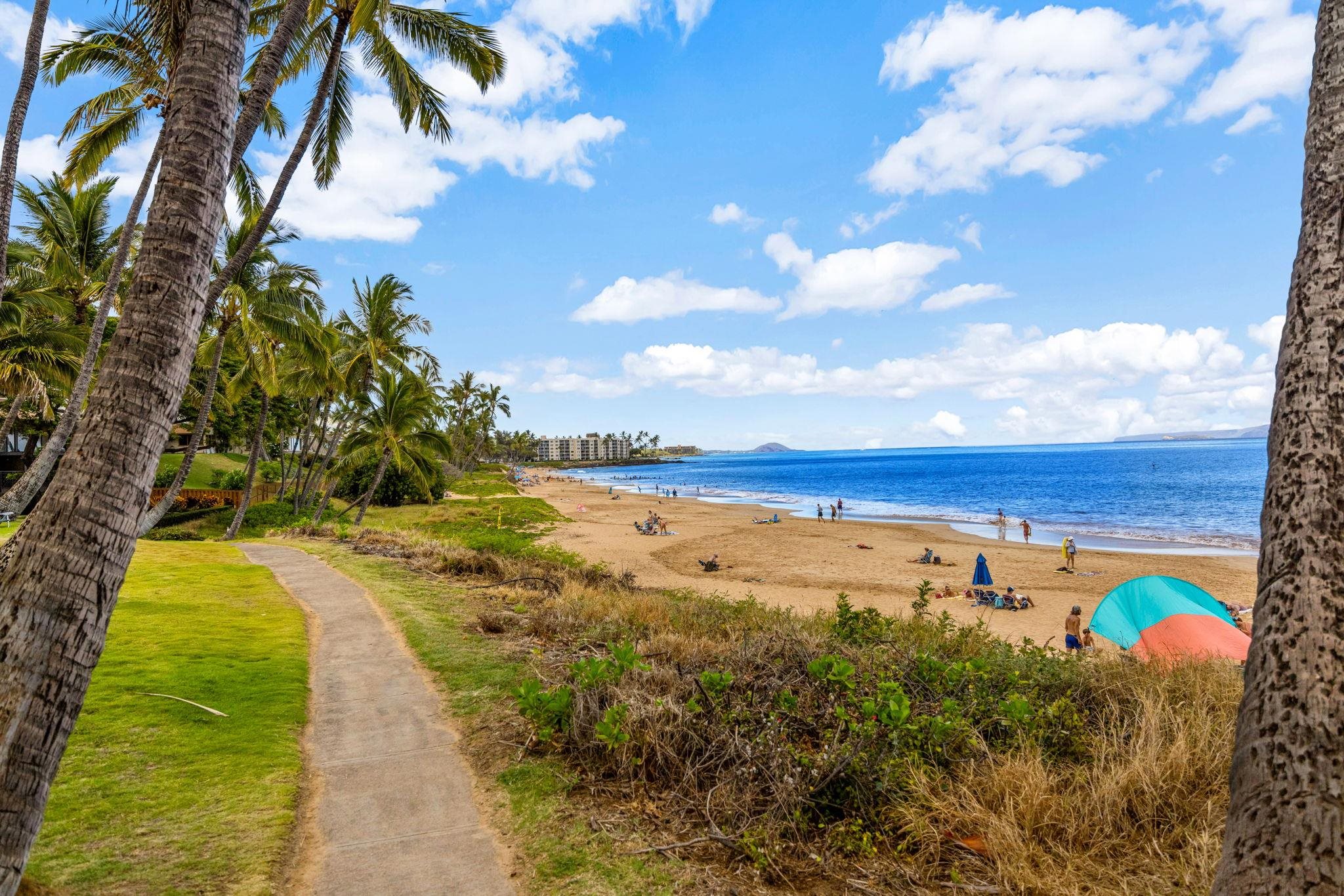 Hale Mahialani condo # 5, Kihei, Hawaii - photo 41 of 46